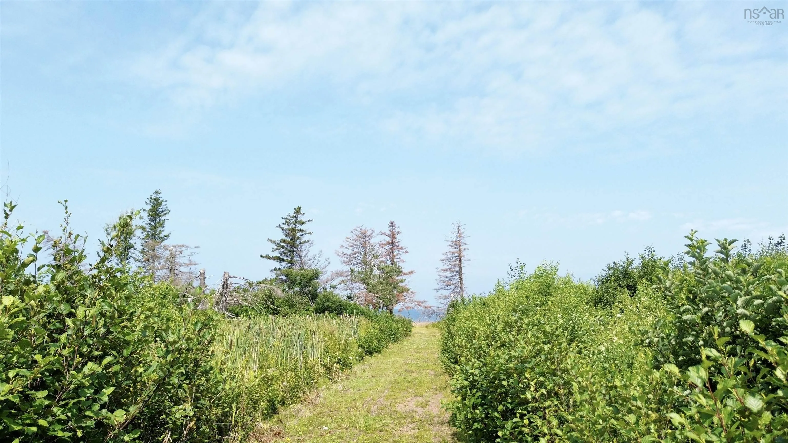 Lot 11 Red Rock Way Road, Lismore, NS B0K 1G0, ,Land,For Sale,Red Rock Way,202519167