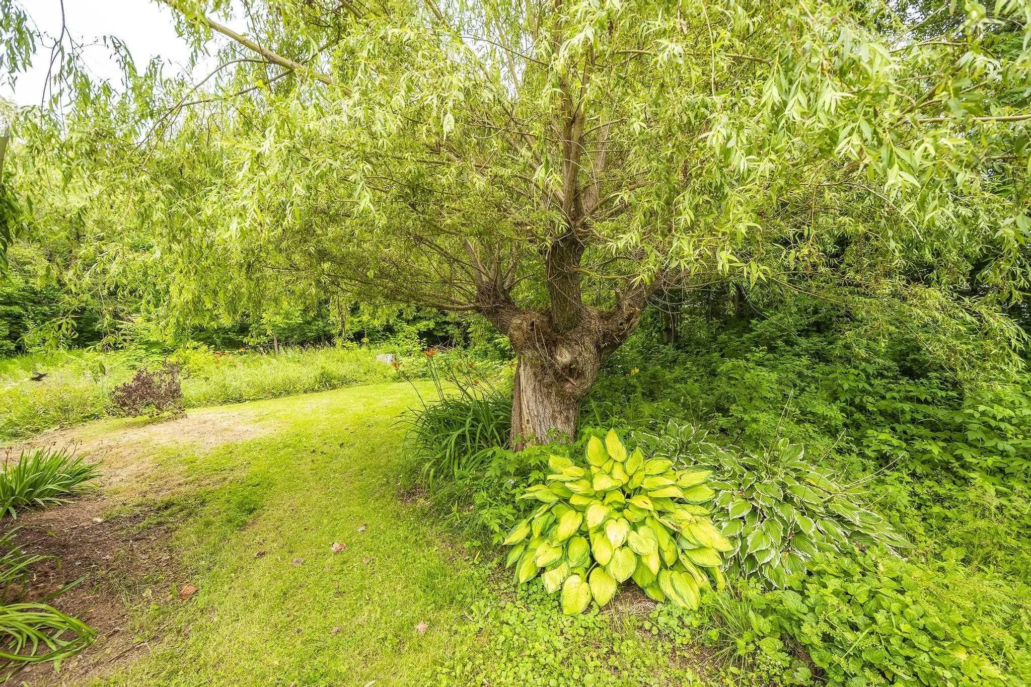 1260 Baxters Harbour Road, Baxters Harbour, NS B0P 1H0, ,Land,For Sale,Baxters Harbour Road,202520188