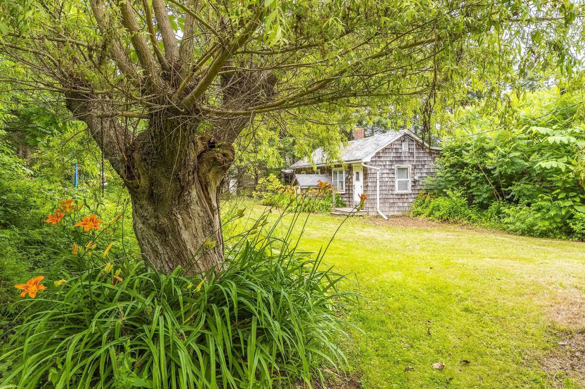 1260 Baxters Harbour Road, Baxters Harbour, NS B0P 1H0, ,Land,For Sale,Baxters Harbour Road,202520188