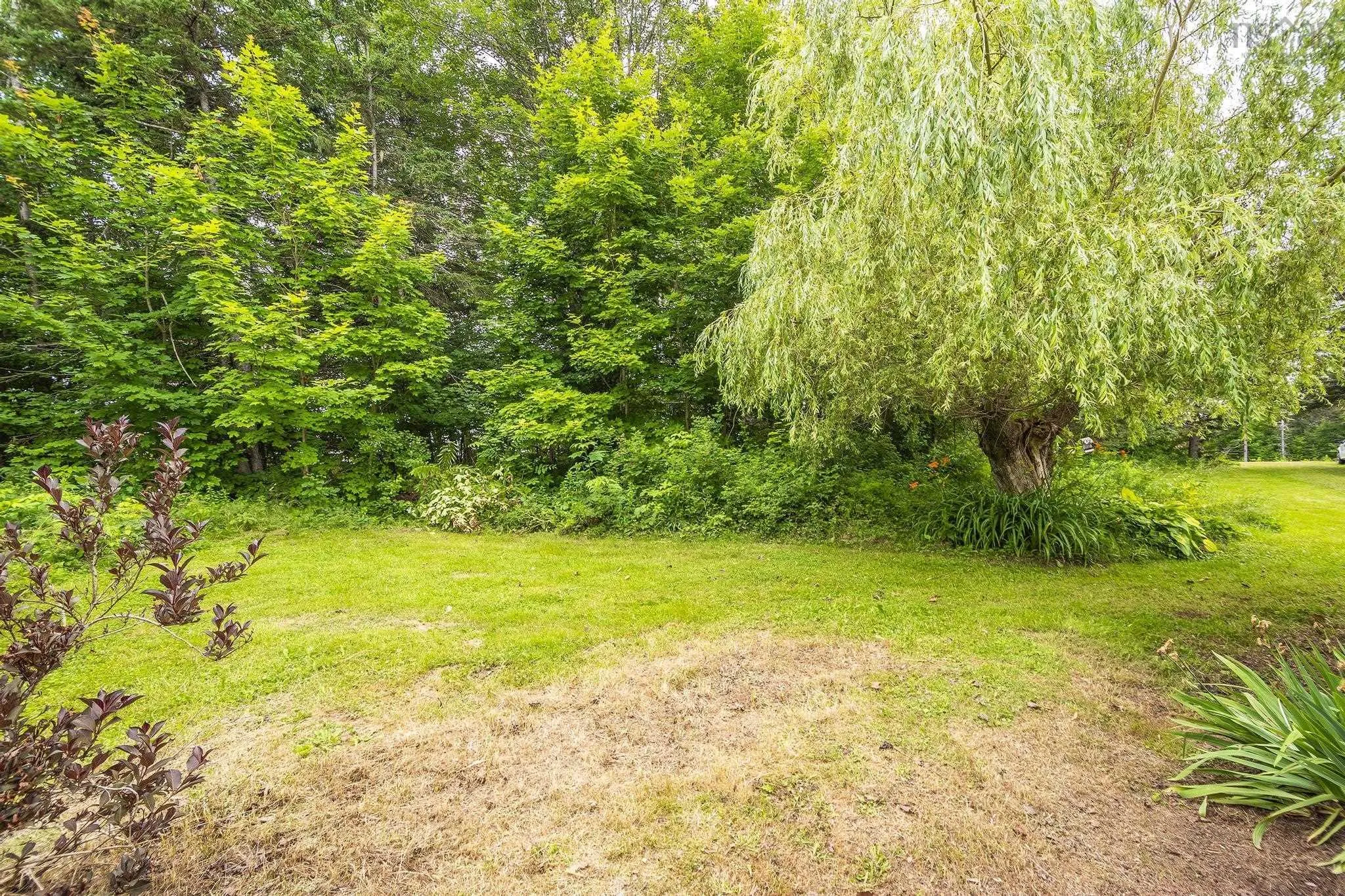1260 Baxters Harbour Road, Baxters Harbour, NS B0P 1H0, ,Land,For Sale,Baxters Harbour Road,202520188