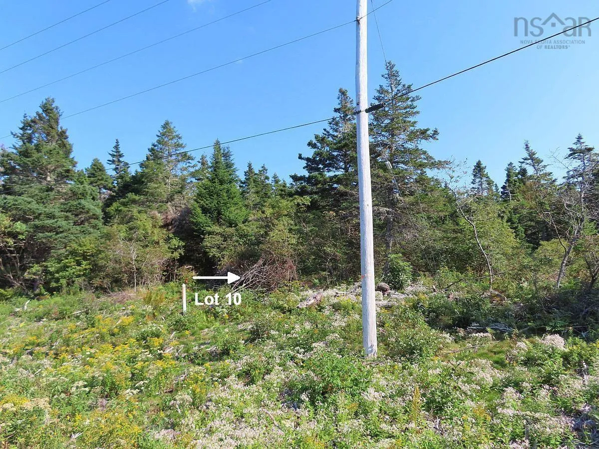 Lot 10 Hwy 316 (grovers Point), Cole Harbour Ns B0h 1t0, ,Land,For Sale,Hwy 316 (Grovers Point),202428068
