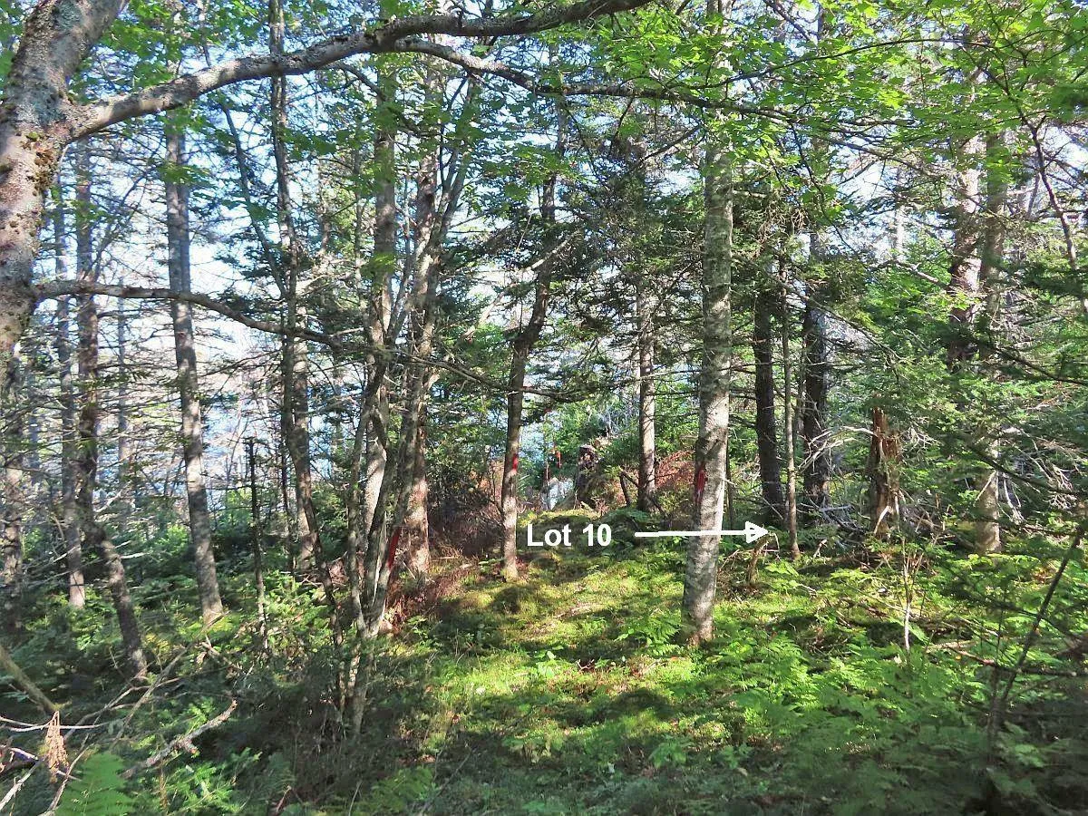 Lot 10 Hwy 316 (grovers Point), Cole Harbour Ns B0h 1t0, ,Land,For Sale,Hwy 316 (Grovers Point),202428068