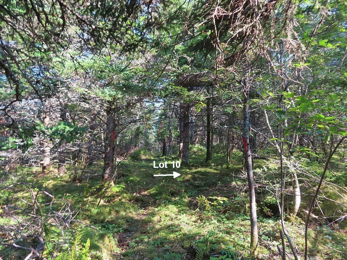 Lot 10 Hwy 316 (grovers Point), Cole Harbour Ns B0h 1t0, ,Land,For Sale,Hwy 316 (Grovers Point),202428068