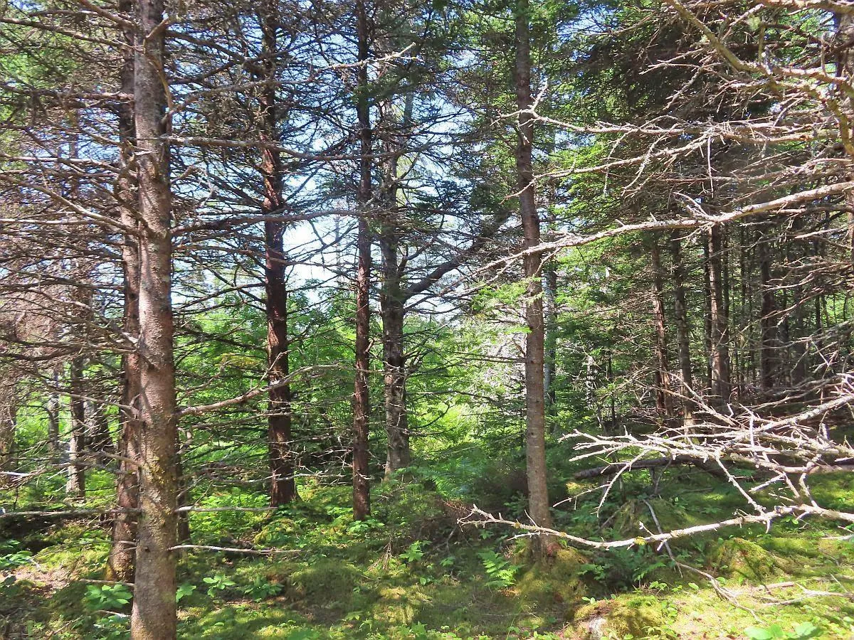 Lot 10 Hwy 316 (grovers Point), Cole Harbour Ns B0h 1t0, ,Land,For Sale,Hwy 316 (Grovers Point),202428068