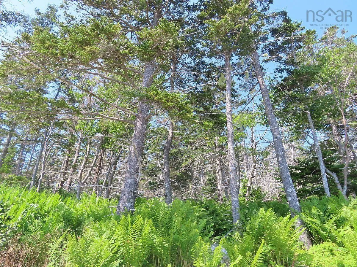 Lot 10 Hwy 316 (grovers Point), Cole Harbour Ns B0h 1t0, ,Land,For Sale,Hwy 316 (Grovers Point),202428068