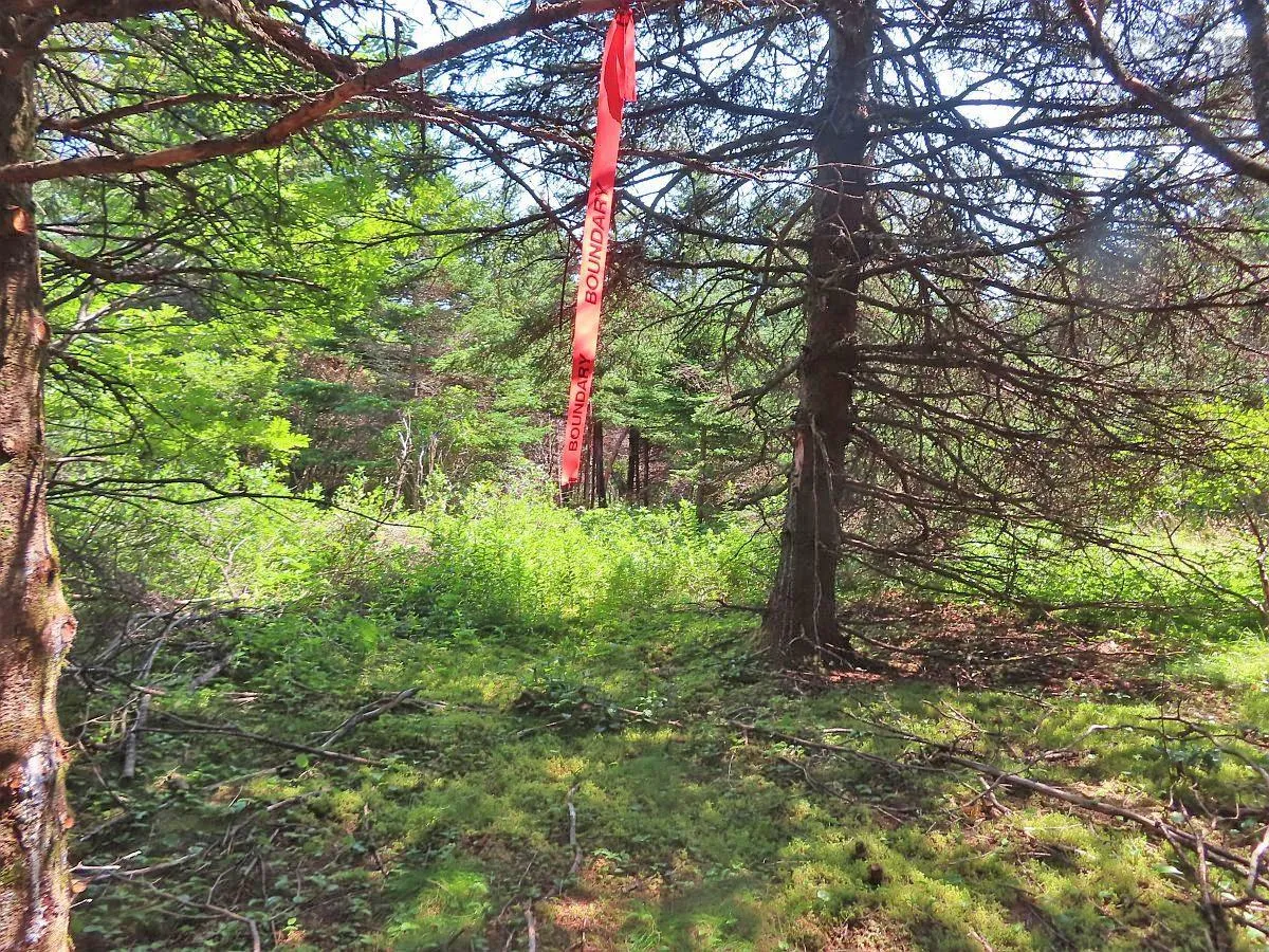 Lot 10 Hwy 316 (grovers Point), Cole Harbour Ns B0h 1t0, ,Land,For Sale,Hwy 316 (Grovers Point),202428068
