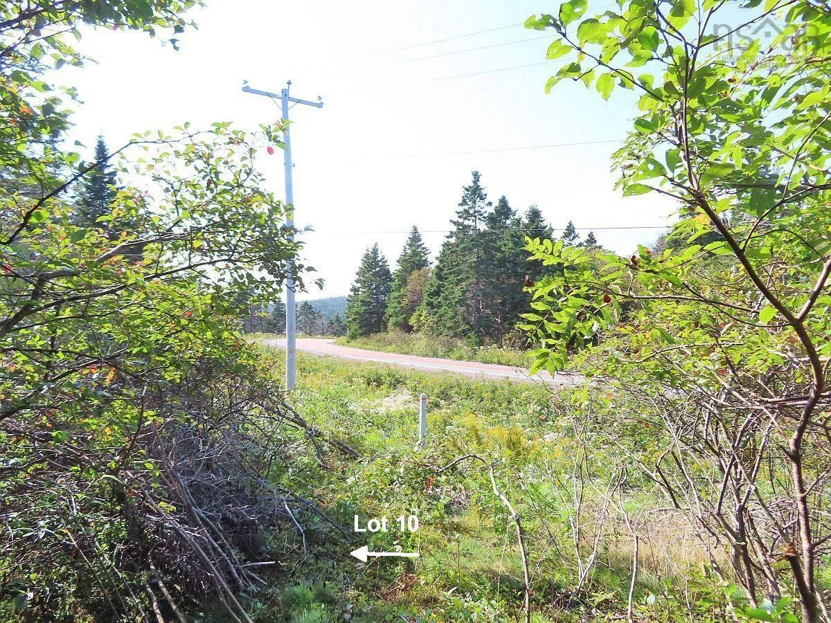 Lot 10 Hwy 316 (grovers Point), Cole Harbour Ns B0h 1t0, ,Land,For Sale,Hwy 316 (Grovers Point),202428068
