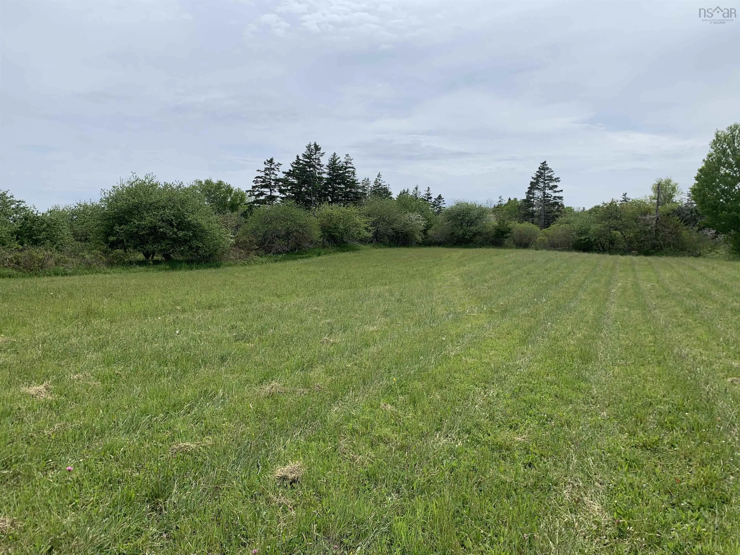 Chemin A Alphee, Lower Wedgeport Ns B0w 2b0, ,Land,For Sale,Chemin A Alphee,202411958