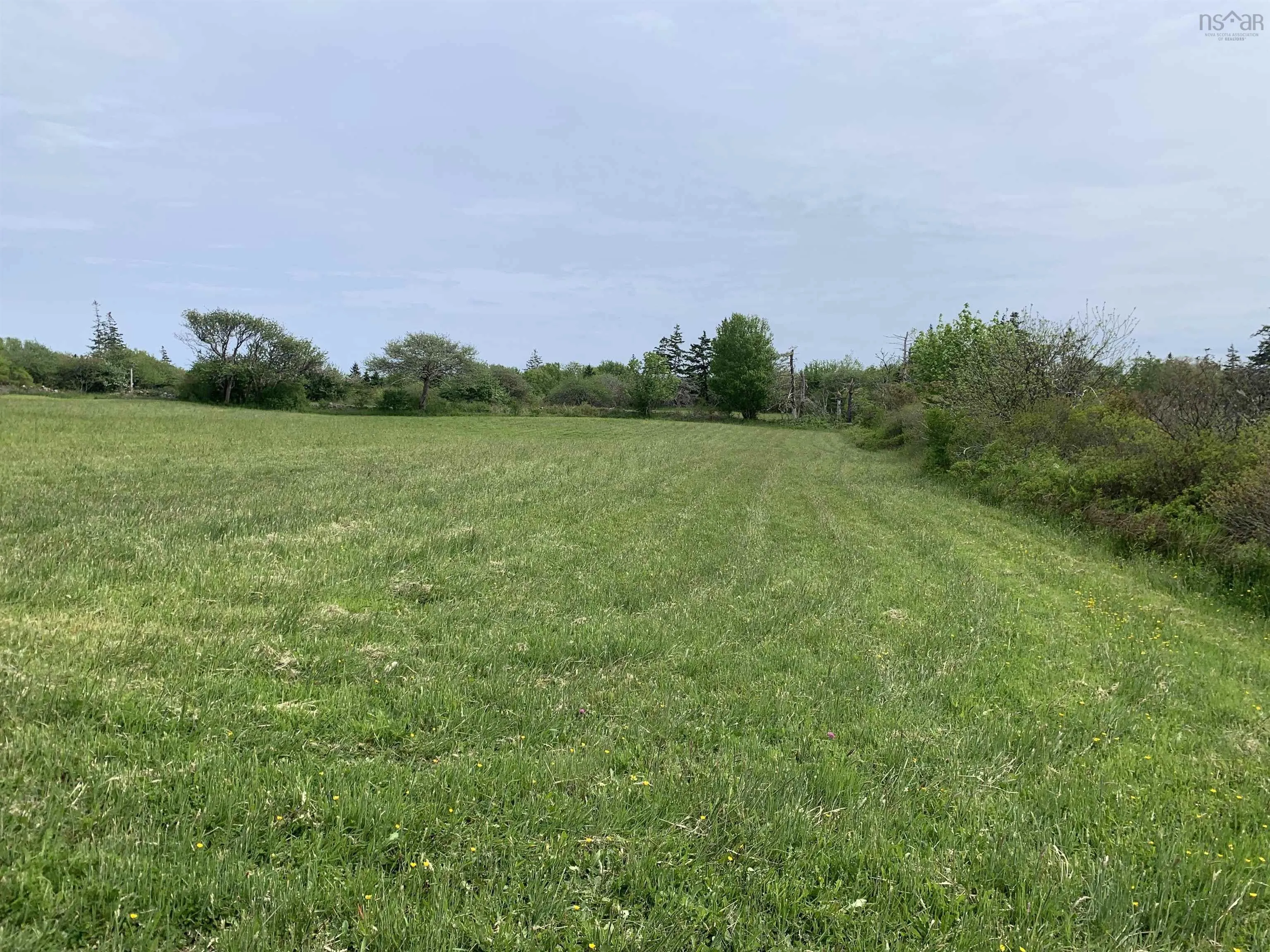 Chemin A Alphee, Lower Wedgeport Ns B0w 2b0, ,Land,For Sale,Chemin A Alphee,202411958