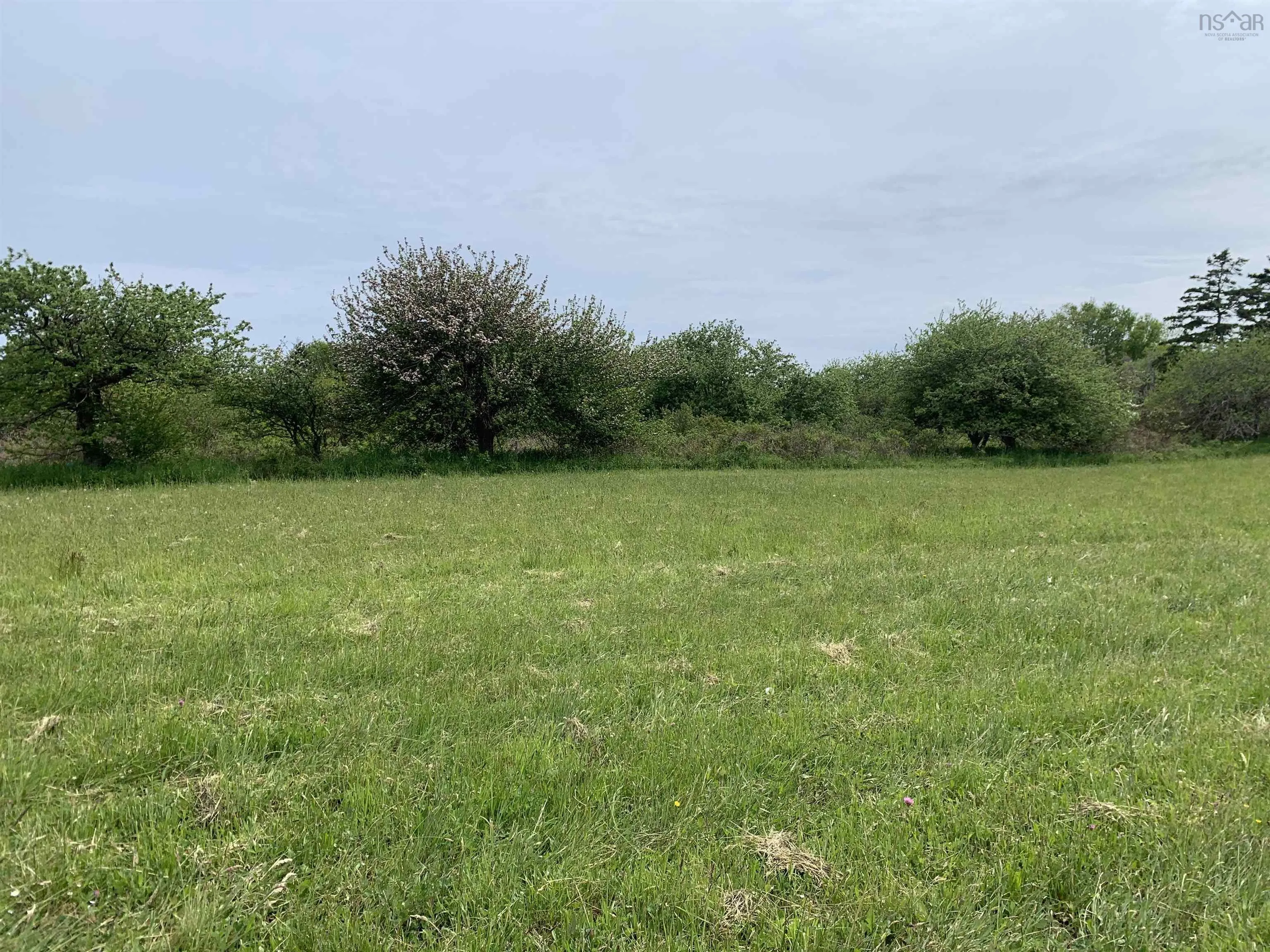 Chemin A Alphee, Lower Wedgeport Ns B0w 2b0, ,Land,For Sale,Chemin A Alphee,202411958