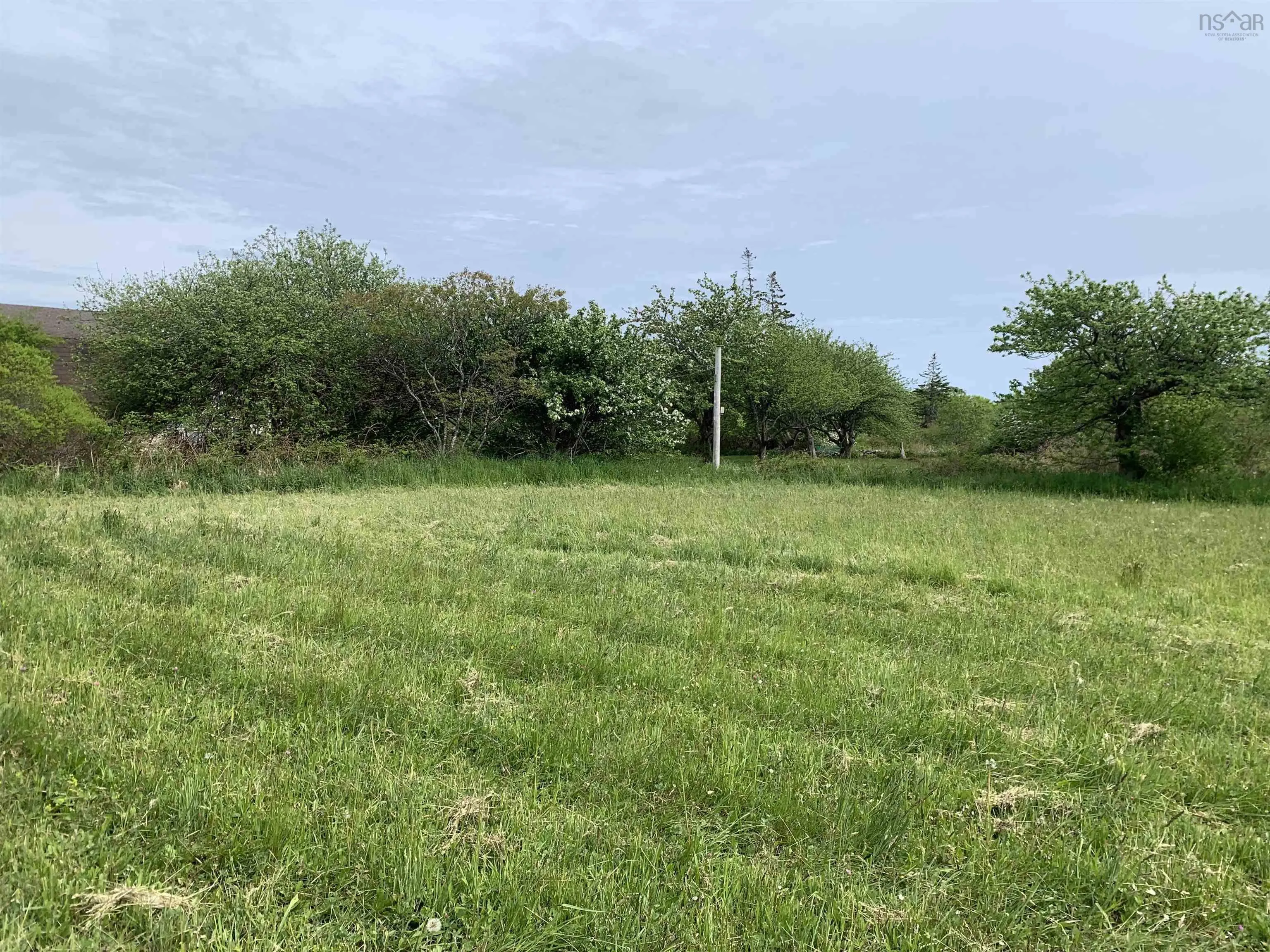 Chemin A Alphee, Lower Wedgeport Ns B0w 2b0, ,Land,For Sale,Chemin A Alphee,202411958