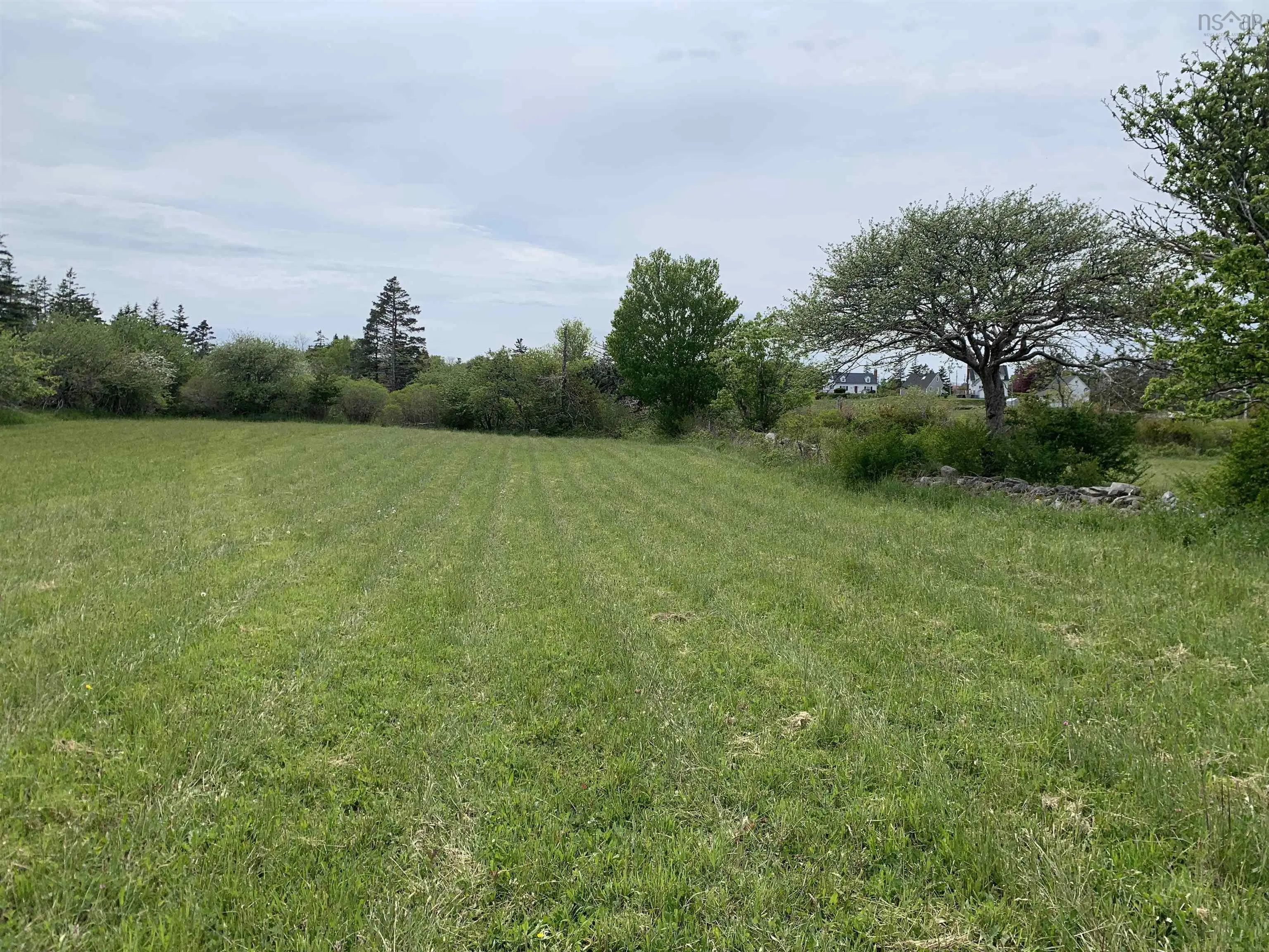 Chemin A Alphee, Lower Wedgeport Ns B0w 2b0, ,Land,For Sale,Chemin A Alphee,202411958