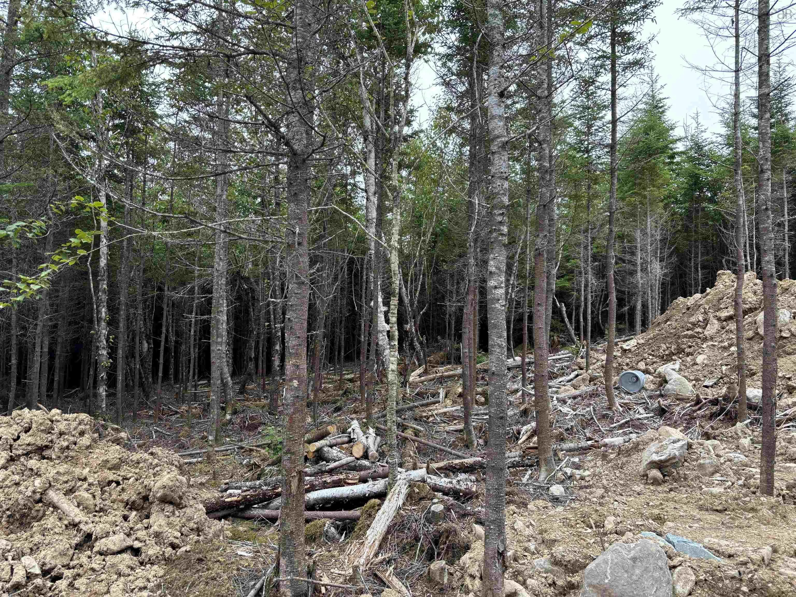 Cross Road Lot 5, West Jeddore Ns B0j 1p0, ,Land,For Sale,Cross,202420908