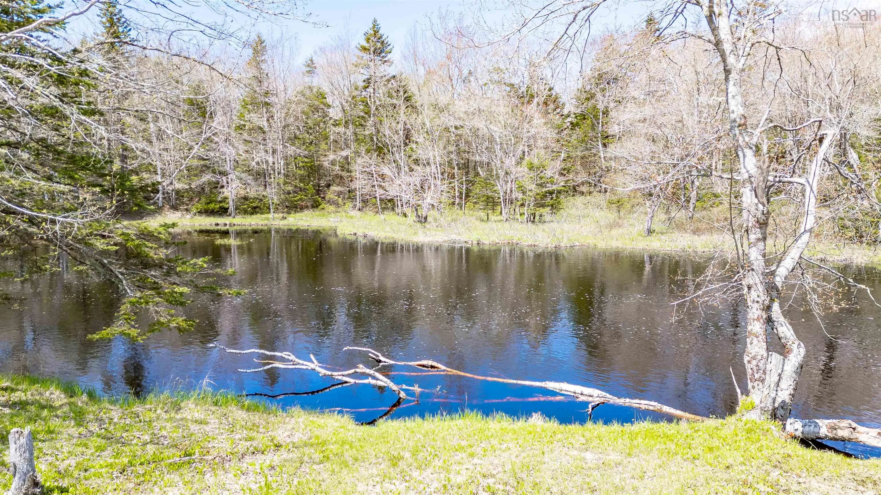 1657 Hectanooga Road, Mayflower, NS B0W 2Y0, 1 Bedroom Bedrooms, ,1 BathroomBathrooms,Residential,For Sale,Hectanooga,202510817