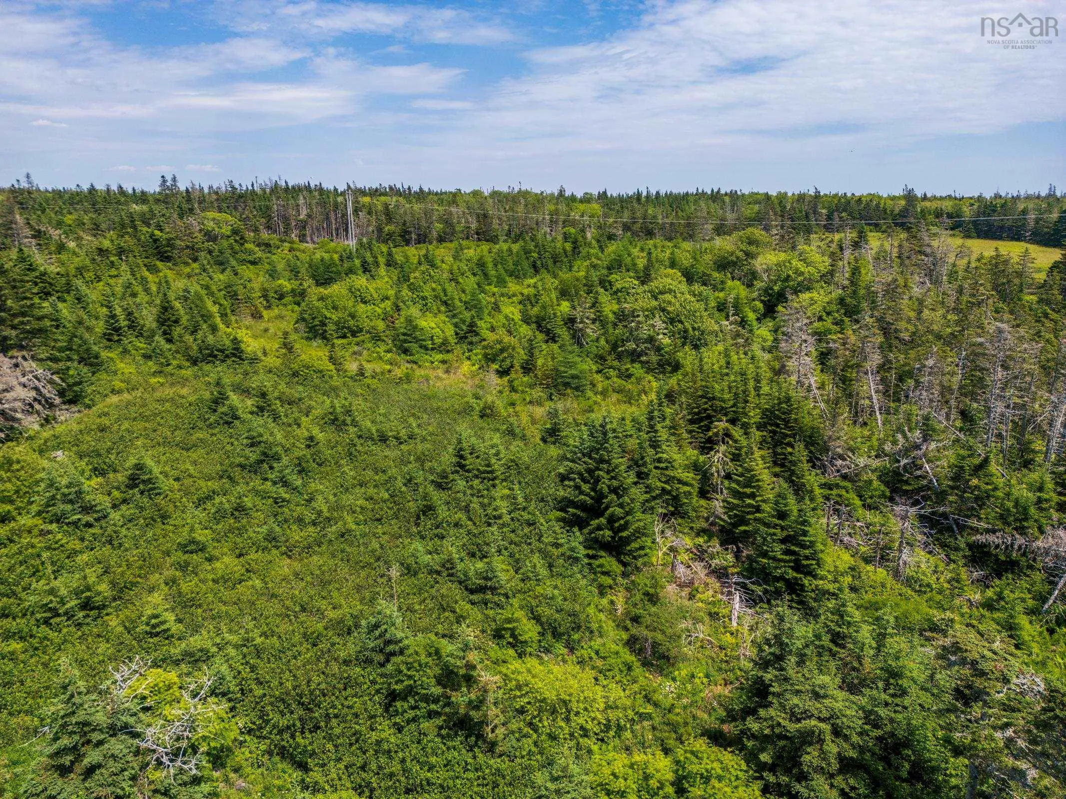 Lot Highway 3, Middle West Pubnico, NS B0W 2A0, ,Land,For Sale,Highway 3,202517778