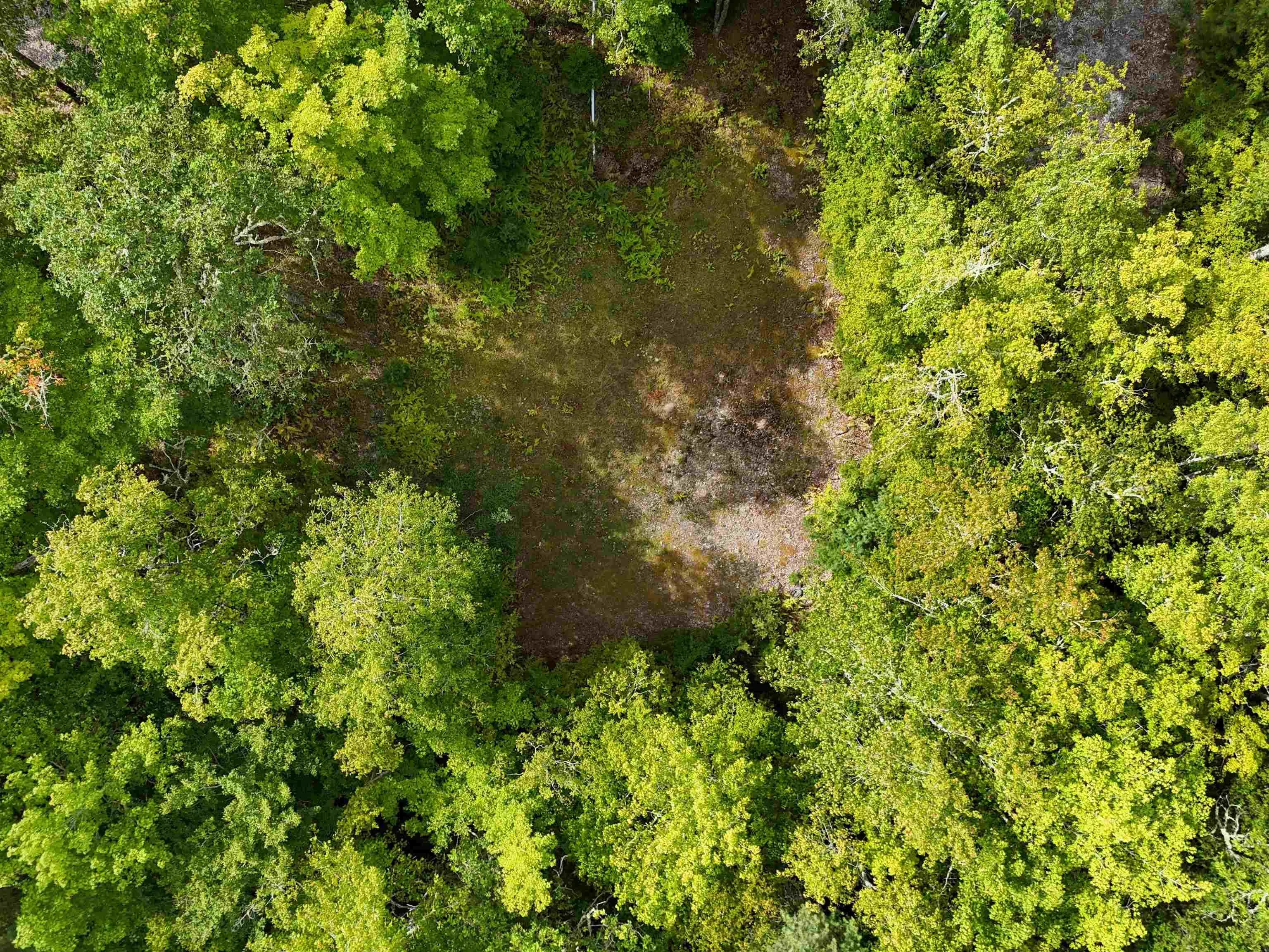 37-148 Uhlman Point Road, Molega North, NS B0T 1X0, ,Land,For Sale,Uhlman Point,202521373