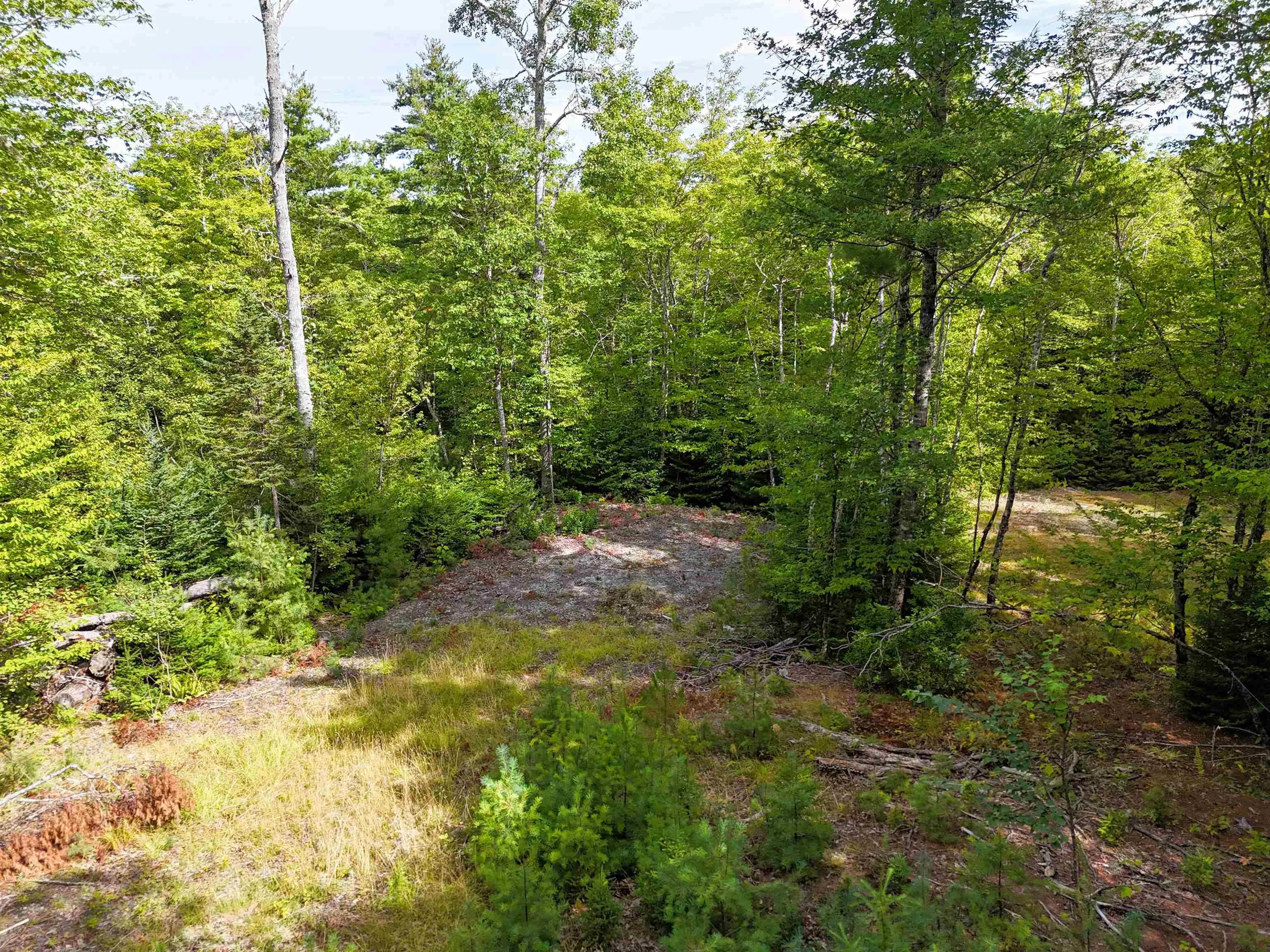 37-148 Uhlman Point Road, Molega North, NS B0T 1X0, ,Land,For Sale,Uhlman Point,202521373