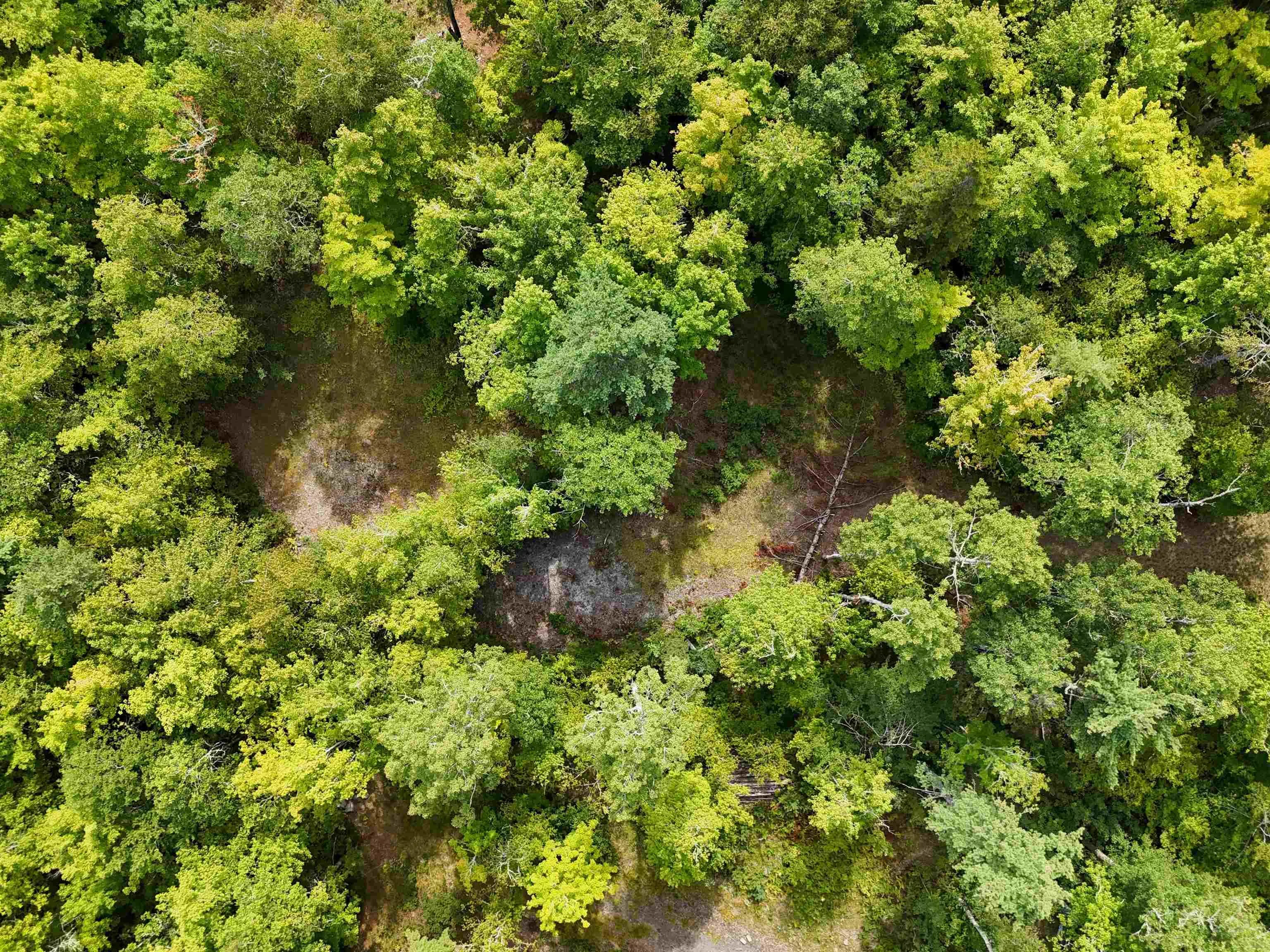 37-148 Uhlman Point Road, Molega North, NS B0T 1X0, ,Land,For Sale,Uhlman Point,202521373