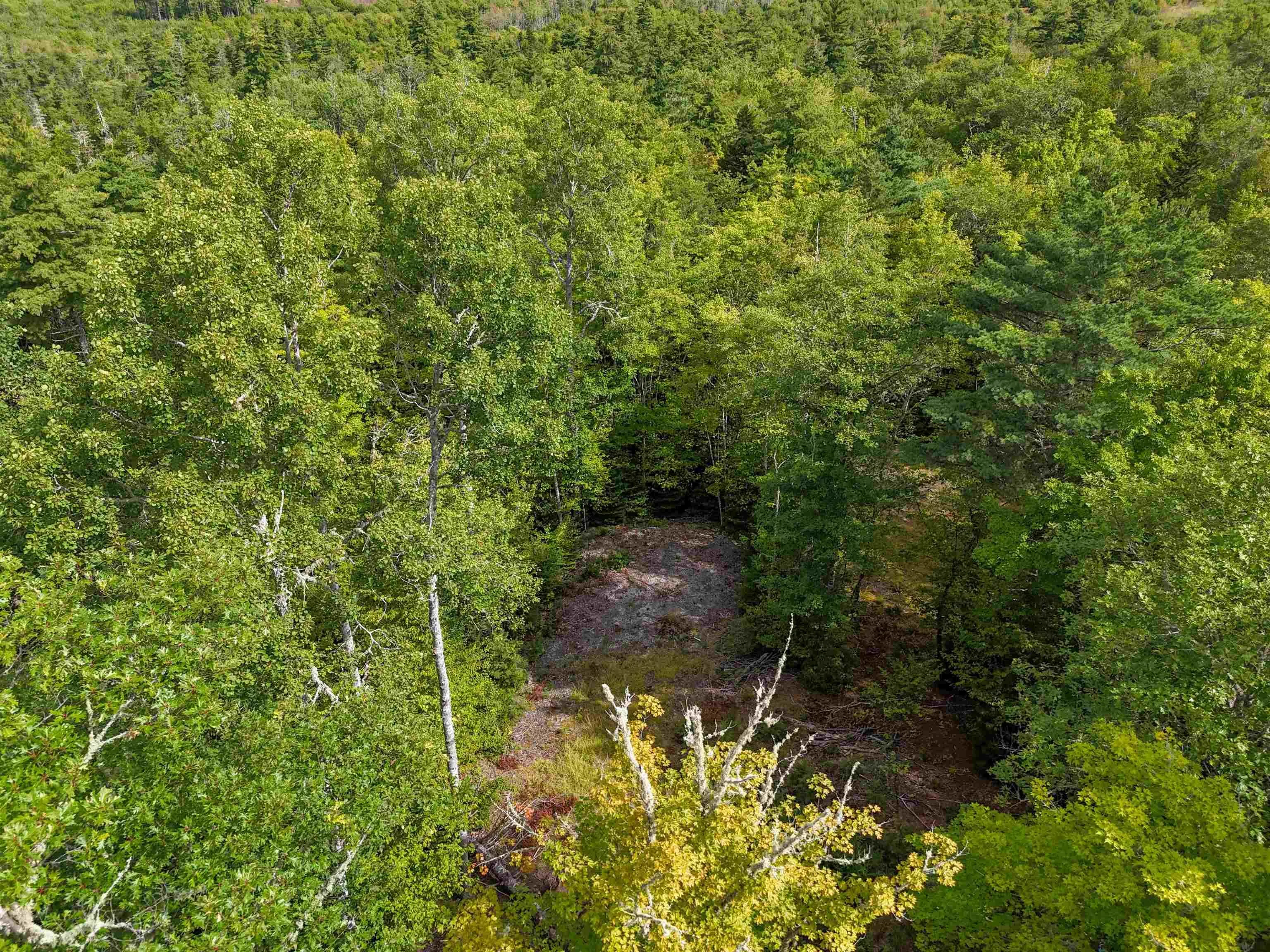 37-148 Uhlman Point Road, Molega North, NS B0T 1X0, ,Land,For Sale,Uhlman Point,202521373