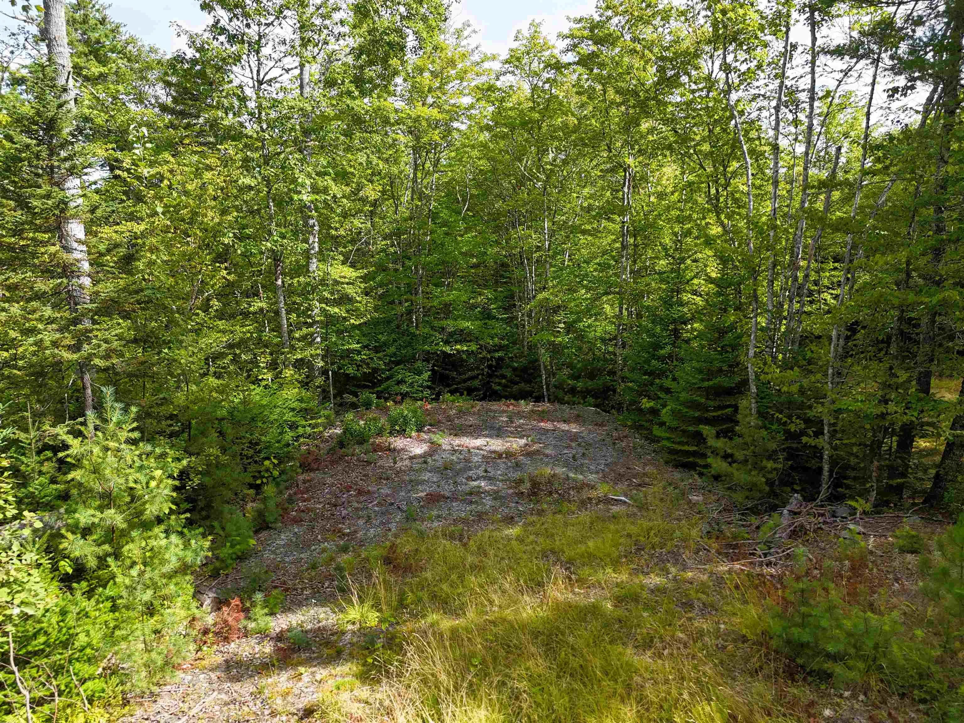 37-148 Uhlman Point Road, Molega North, NS B0T 1X0, ,Land,For Sale,Uhlman Point,202521373