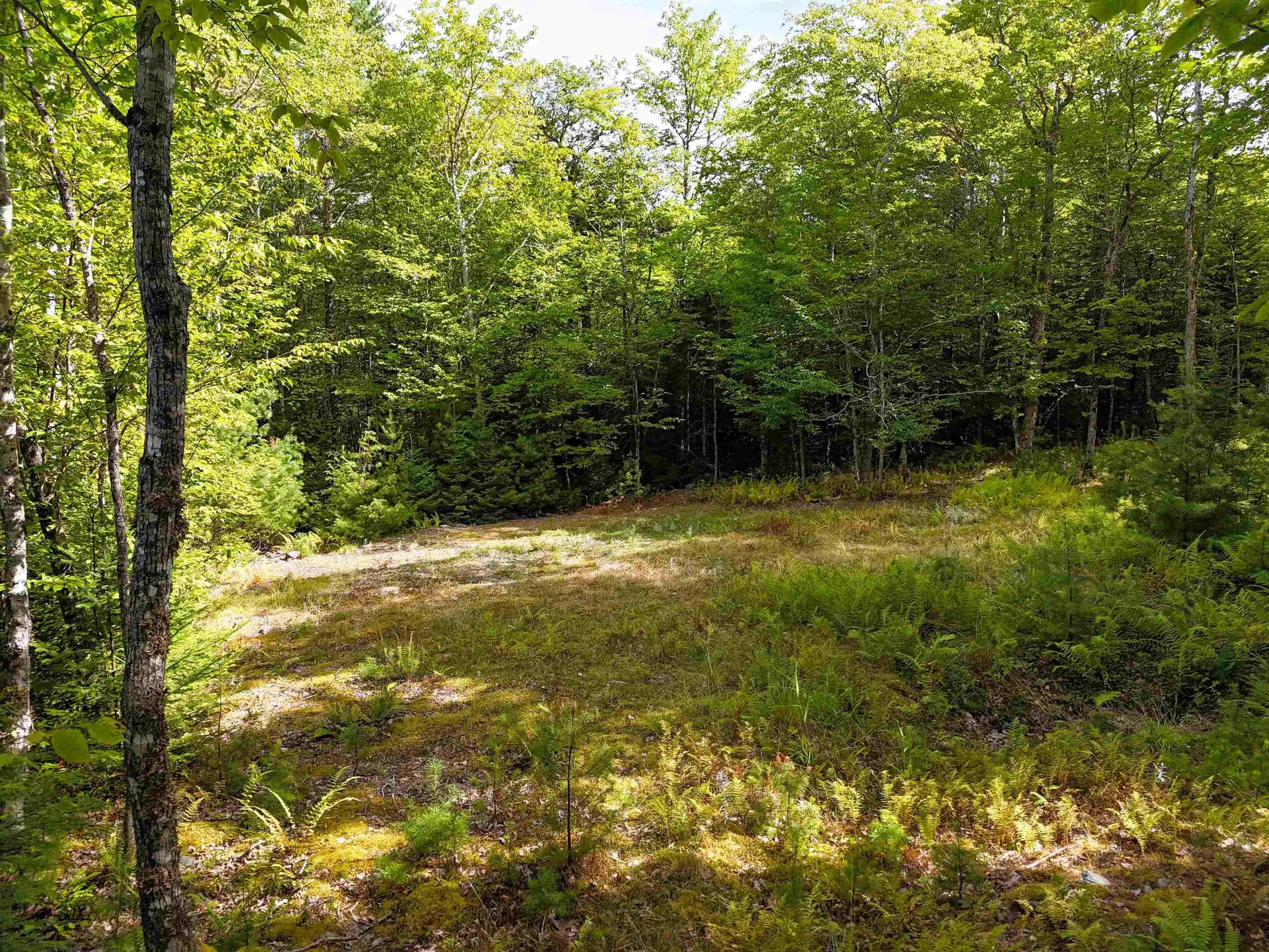 37-148 Uhlman Point Road, Molega North, NS B0T 1X0, ,Land,For Sale,Uhlman Point,202521373