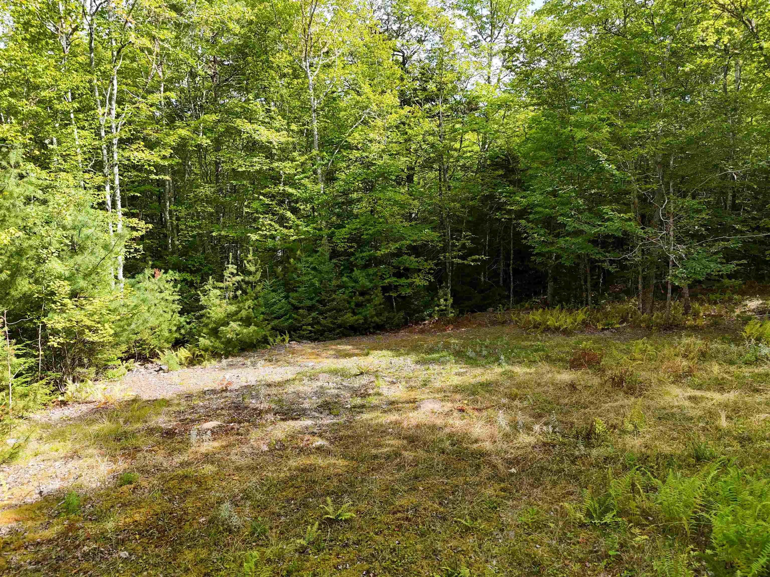 37-148 Uhlman Point Road, Molega North, NS B0T 1X0, ,Land,For Sale,Uhlman Point,202521373