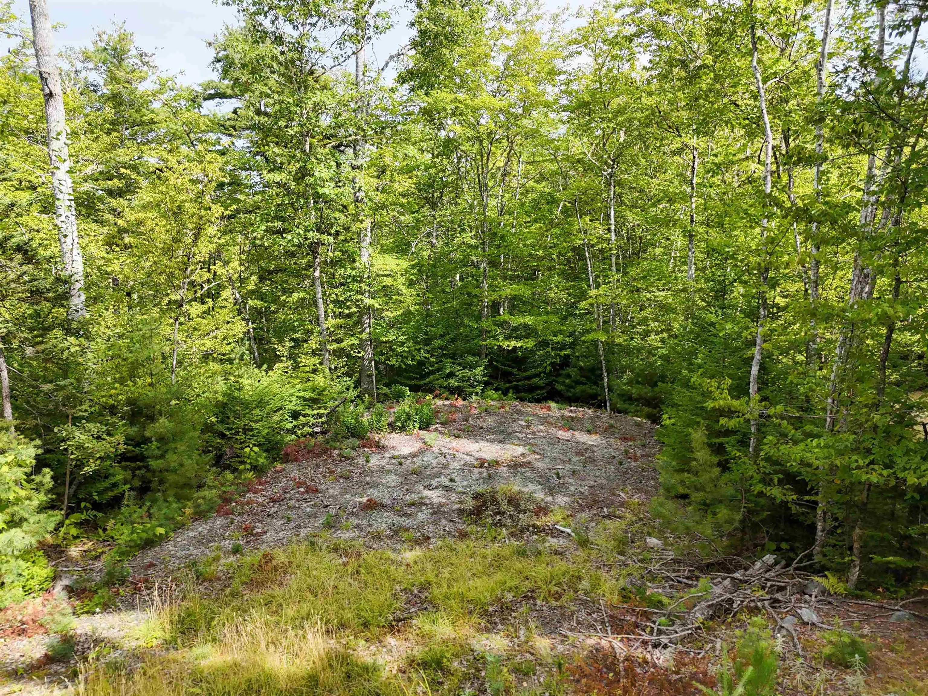 37-148 Uhlman Point Road, Molega North, NS B0T 1X0, ,Land,For Sale,Uhlman Point,202521373