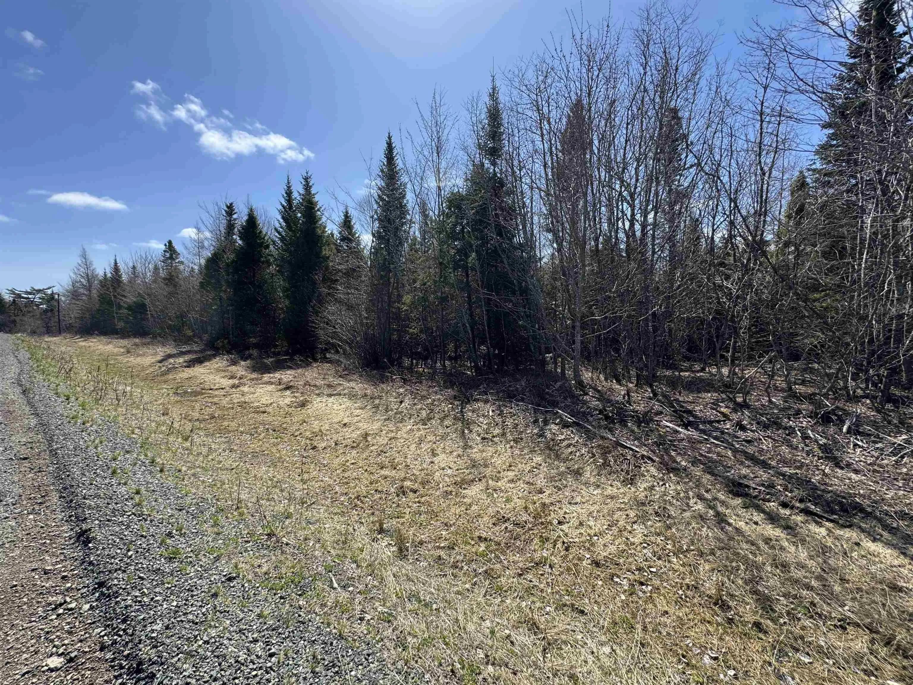 Lot 6 Cenotaph Road, Glenora, NS B0E 3L0, ,Land,For Sale,Cenotaph,202520906