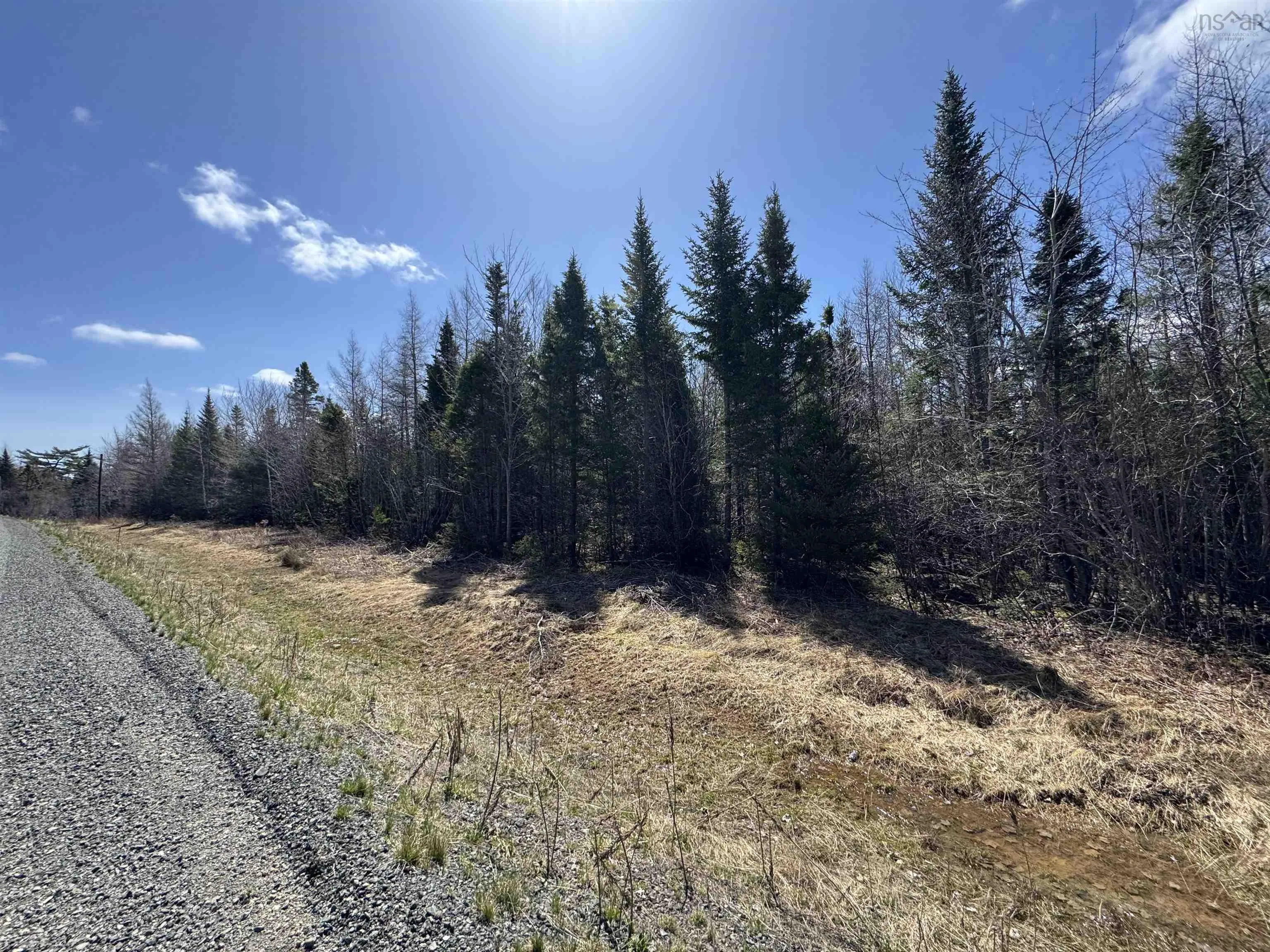 Lot 6 Cenotaph Road, Glenora, NS B0E 3L0, ,Land,For Sale,Cenotaph,202520906