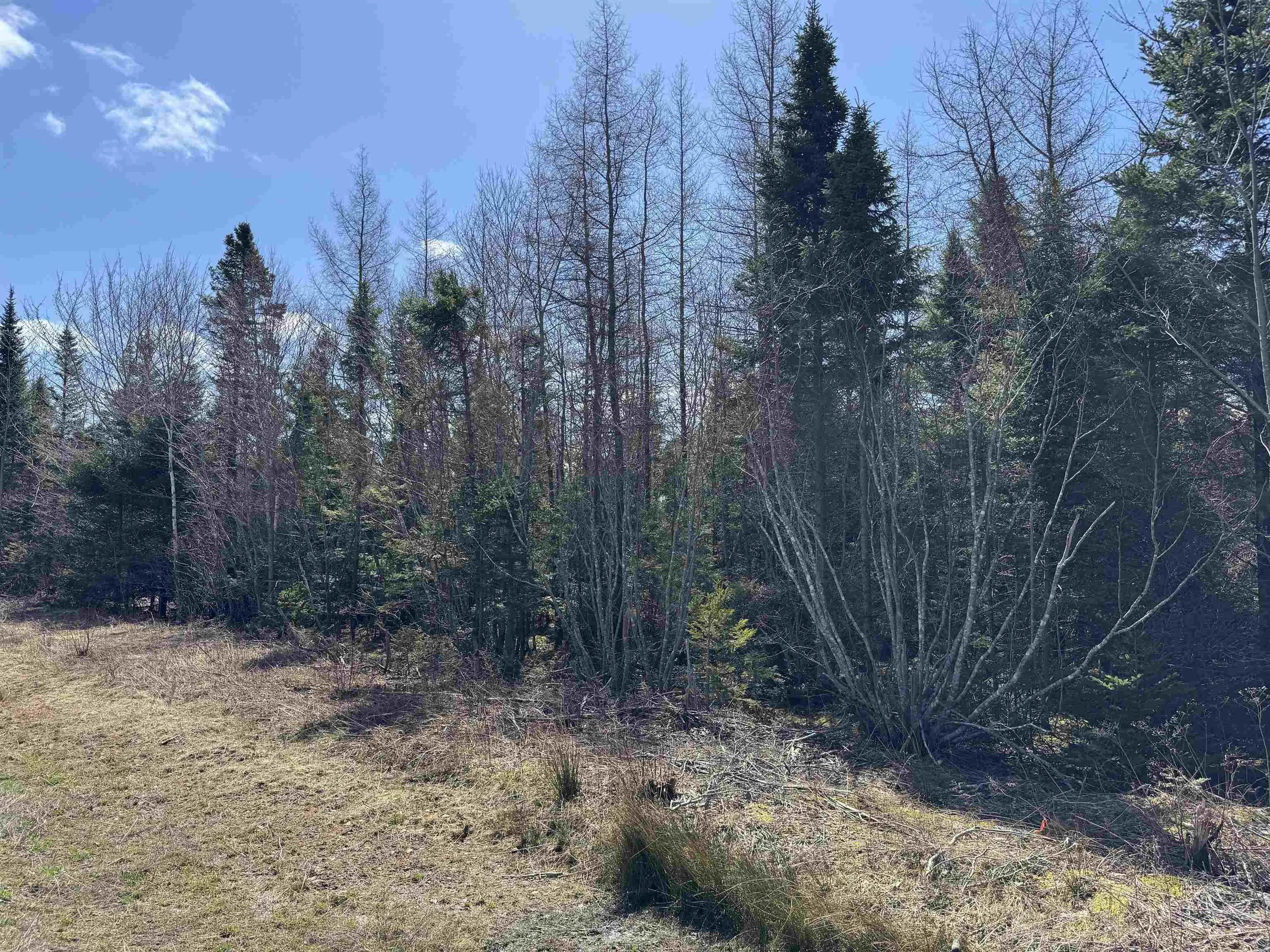 Lot 6 Cenotaph Road, Glenora, NS B0E 3L0, ,Land,For Sale,Cenotaph,202520906
