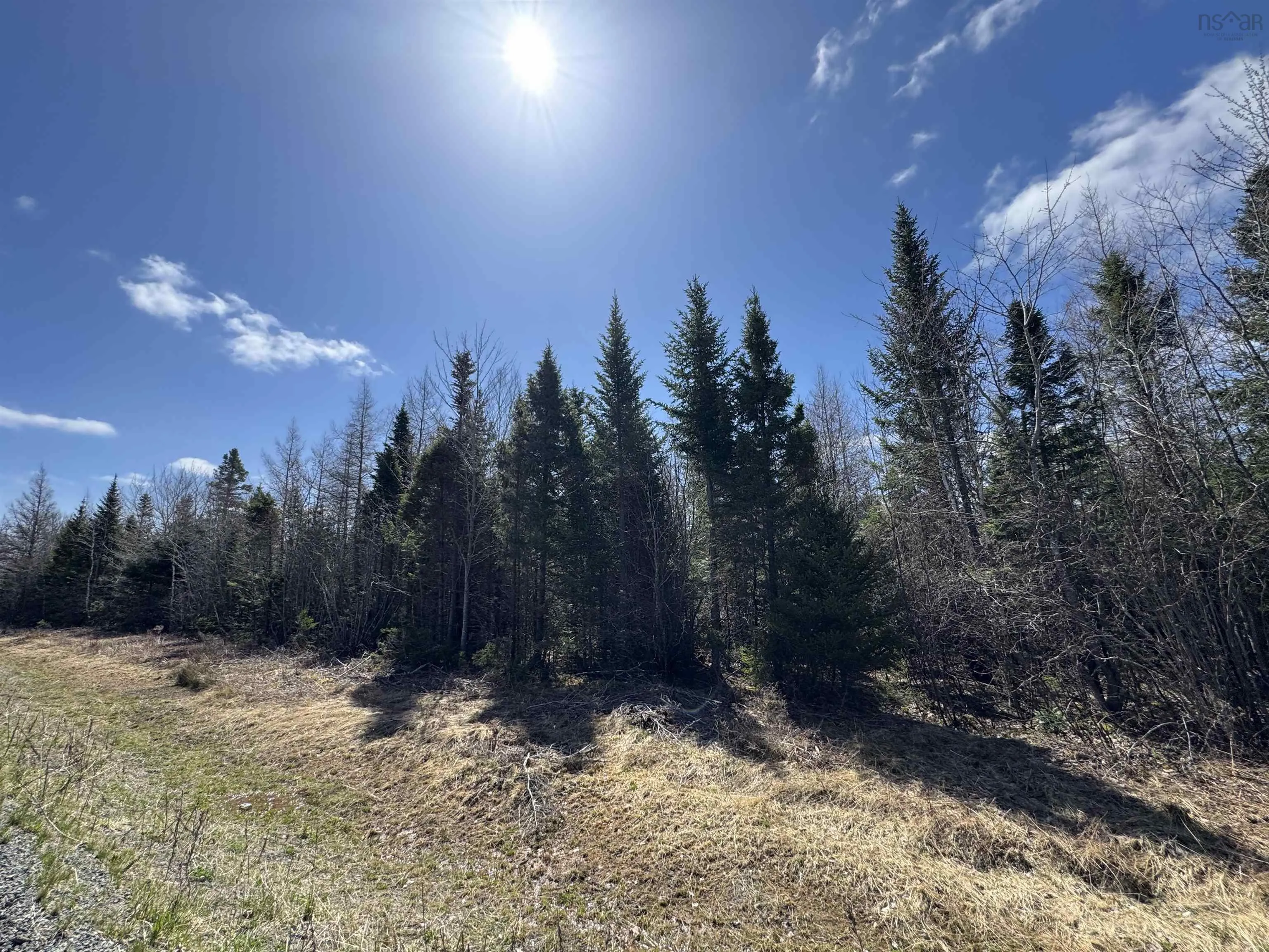 Lot 6 Cenotaph Road, Glenora, NS B0E 3L0, ,Land,For Sale,Cenotaph,202520906
