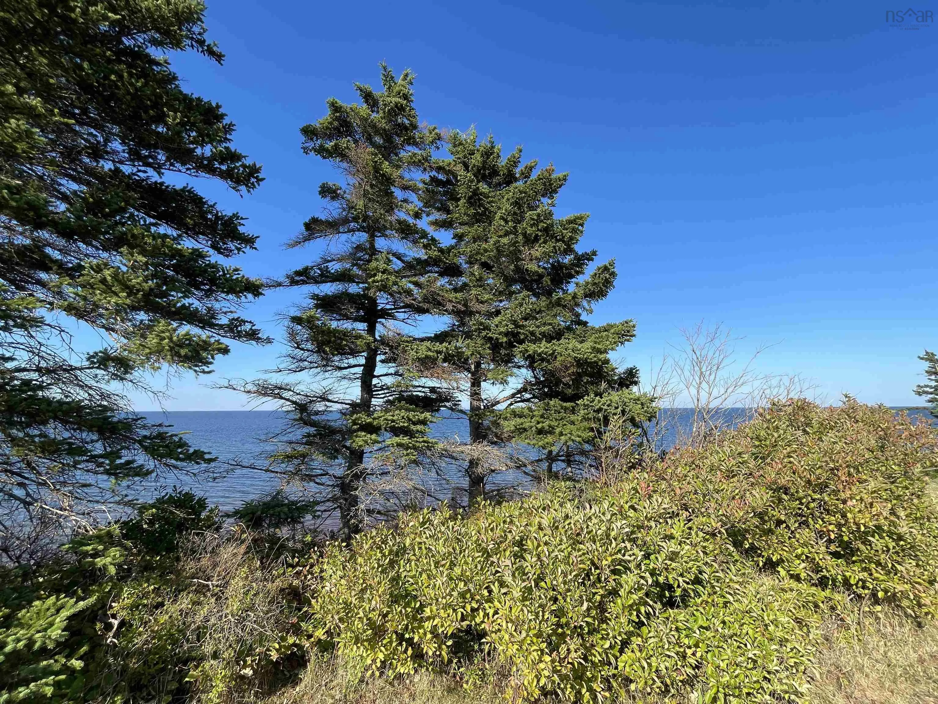 Beach Chair Lane Lot 8, Pugwash, NS B0K 1L0, ,Land,For Sale,Beach Chair,202522569
