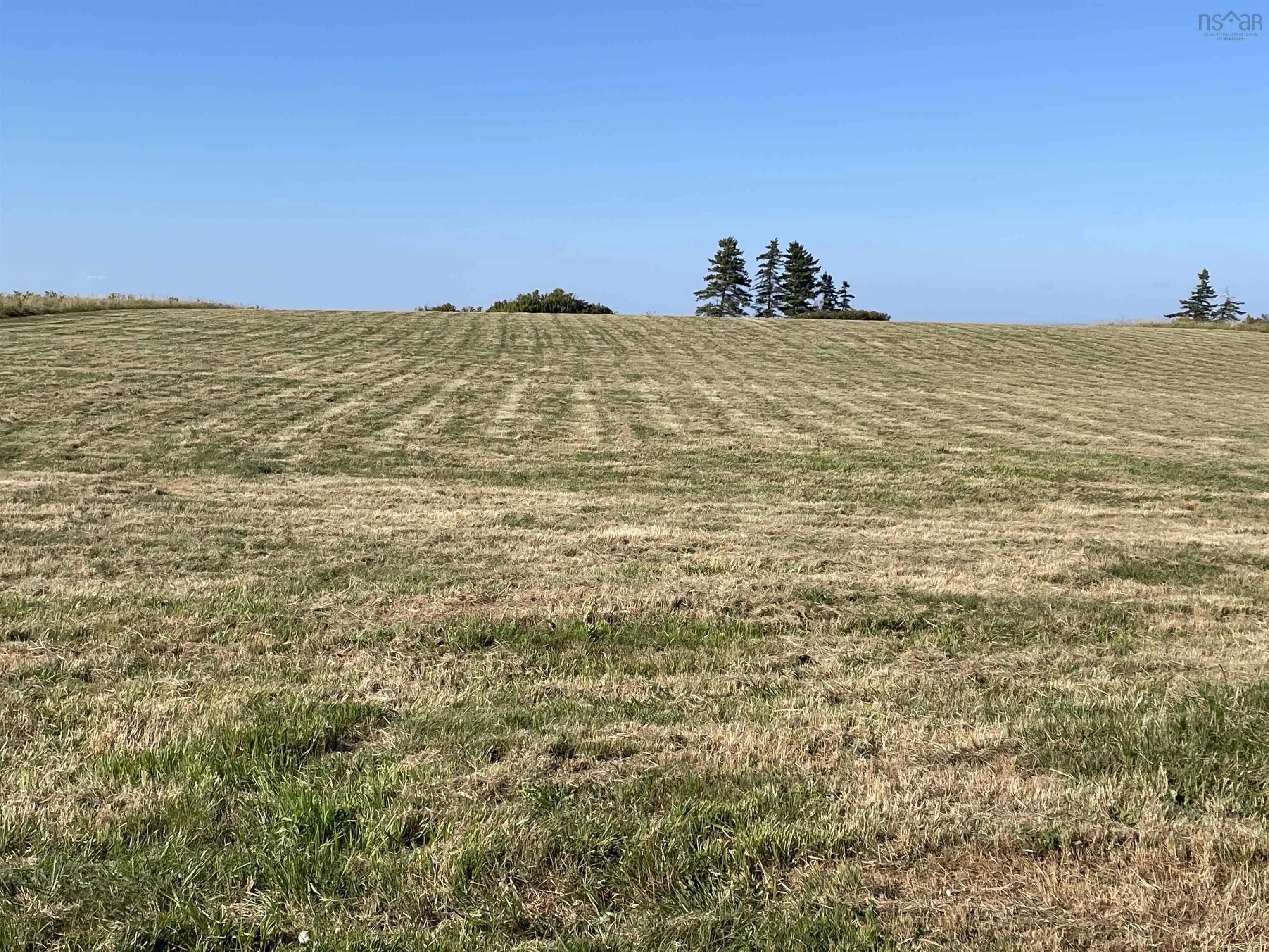 Beach Chair Lane Lot 8, Pugwash, NS B0K 1L0, ,Land,For Sale,Beach Chair,202522569