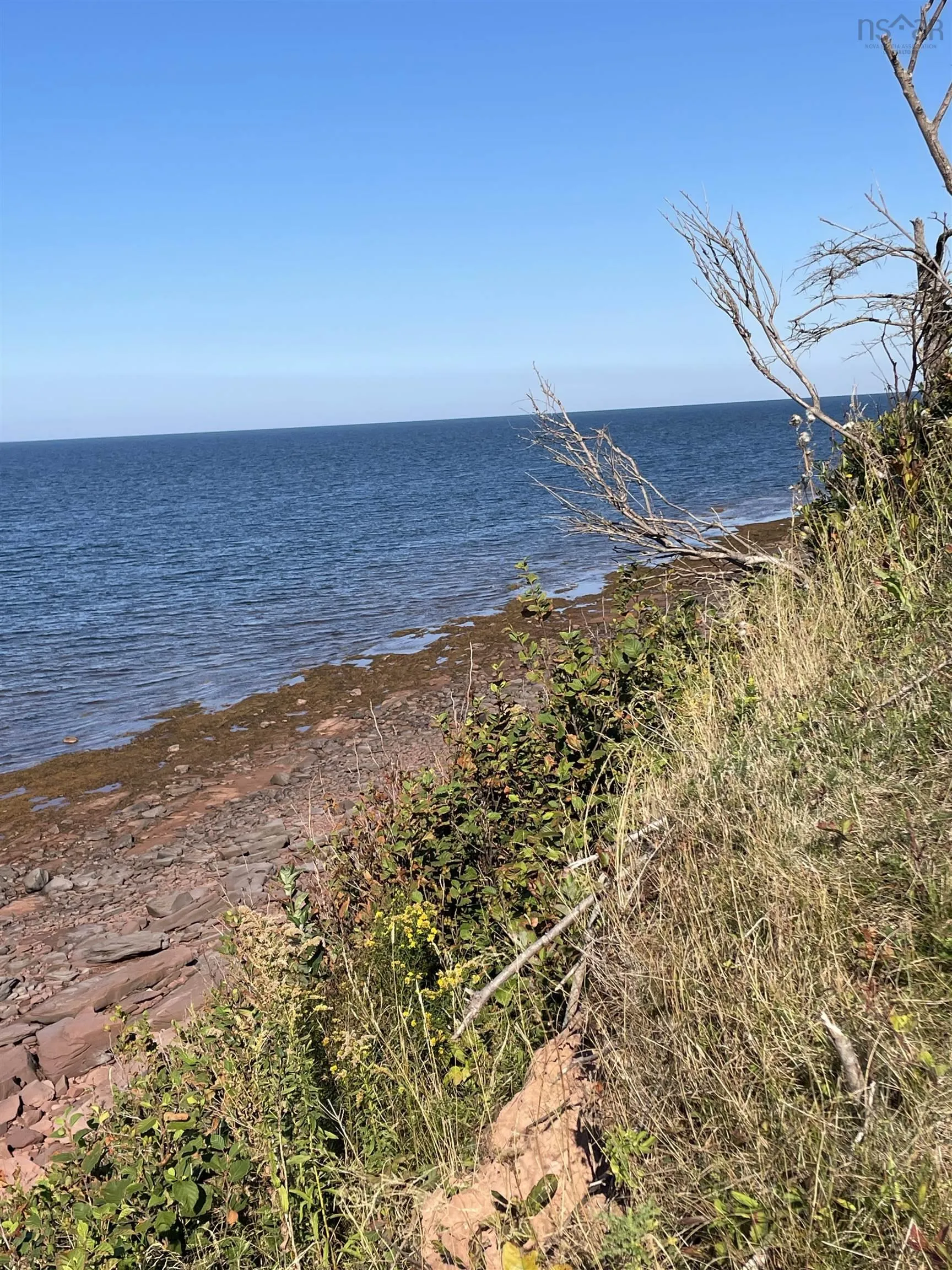 Beach Chair Lane Lot 8, Pugwash, NS B0K 1L0, ,Land,For Sale,Beach Chair,202522569