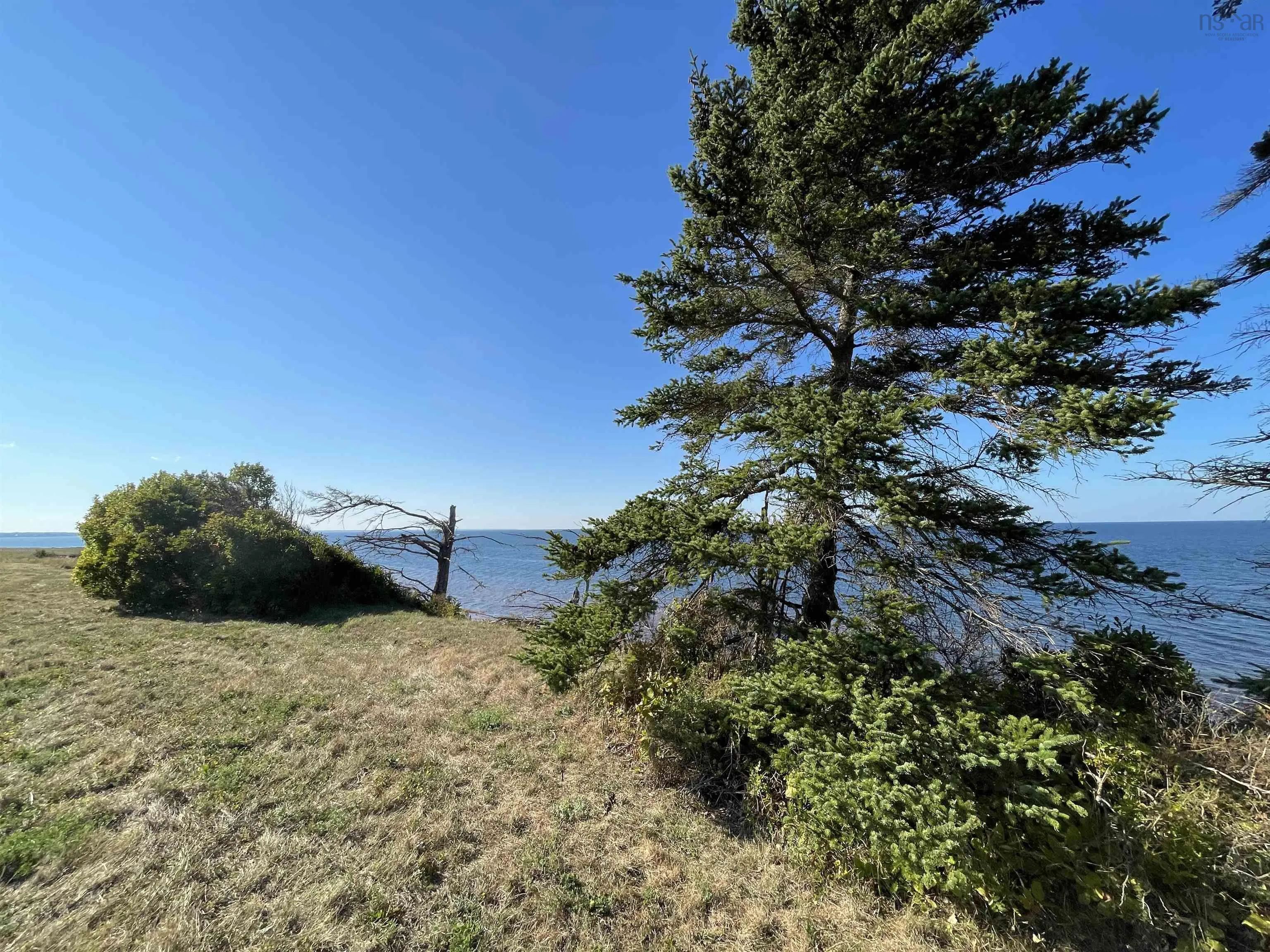 Beach Chair Lane Lot 8, Pugwash, NS B0K 1L0, ,Land,For Sale,Beach Chair,202522569
