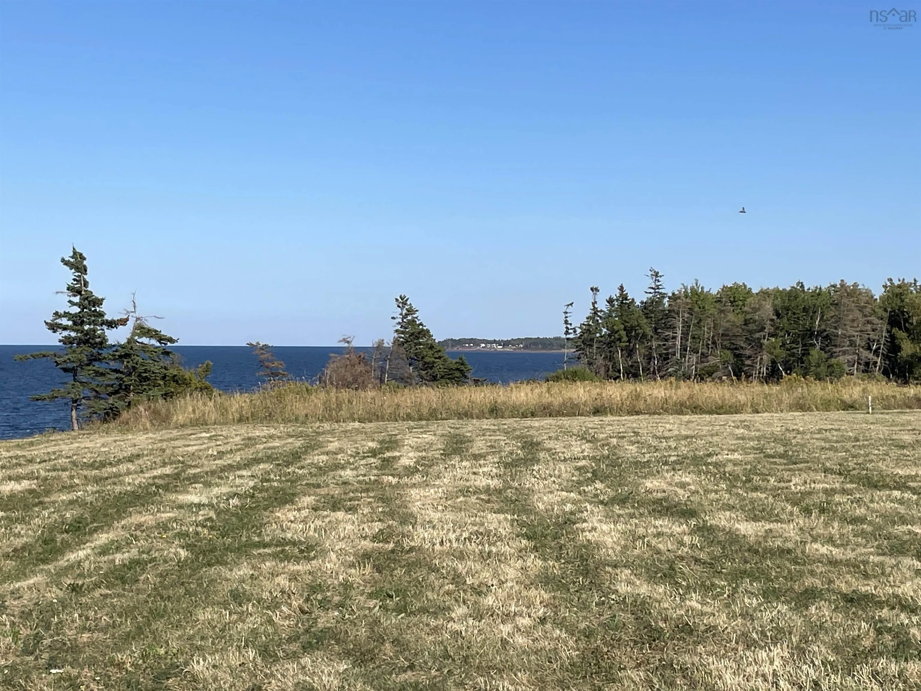 Beach Chair Lane Lot 8, Pugwash, NS B0K 1L0, ,Land,For Sale,Beach Chair,202522569