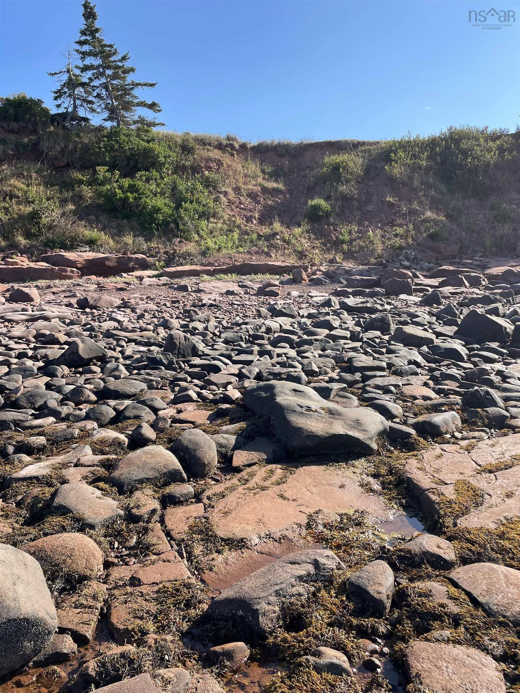 Beach Chair Lane Lot 8, Pugwash, NS B0K 1L0, ,Land,For Sale,Beach Chair,202522569