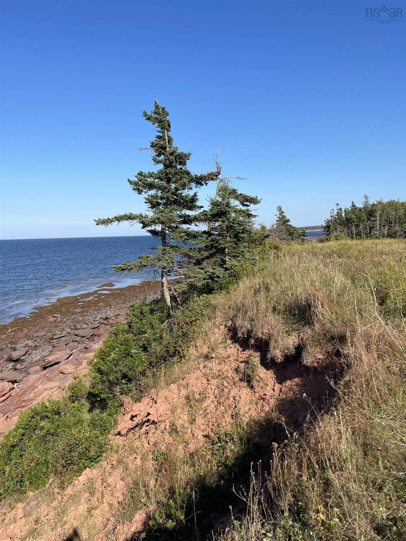Beach Chair Lane Lot 8, Pugwash, NS B0K 1L0, ,Land,For Sale,Beach Chair,202522569