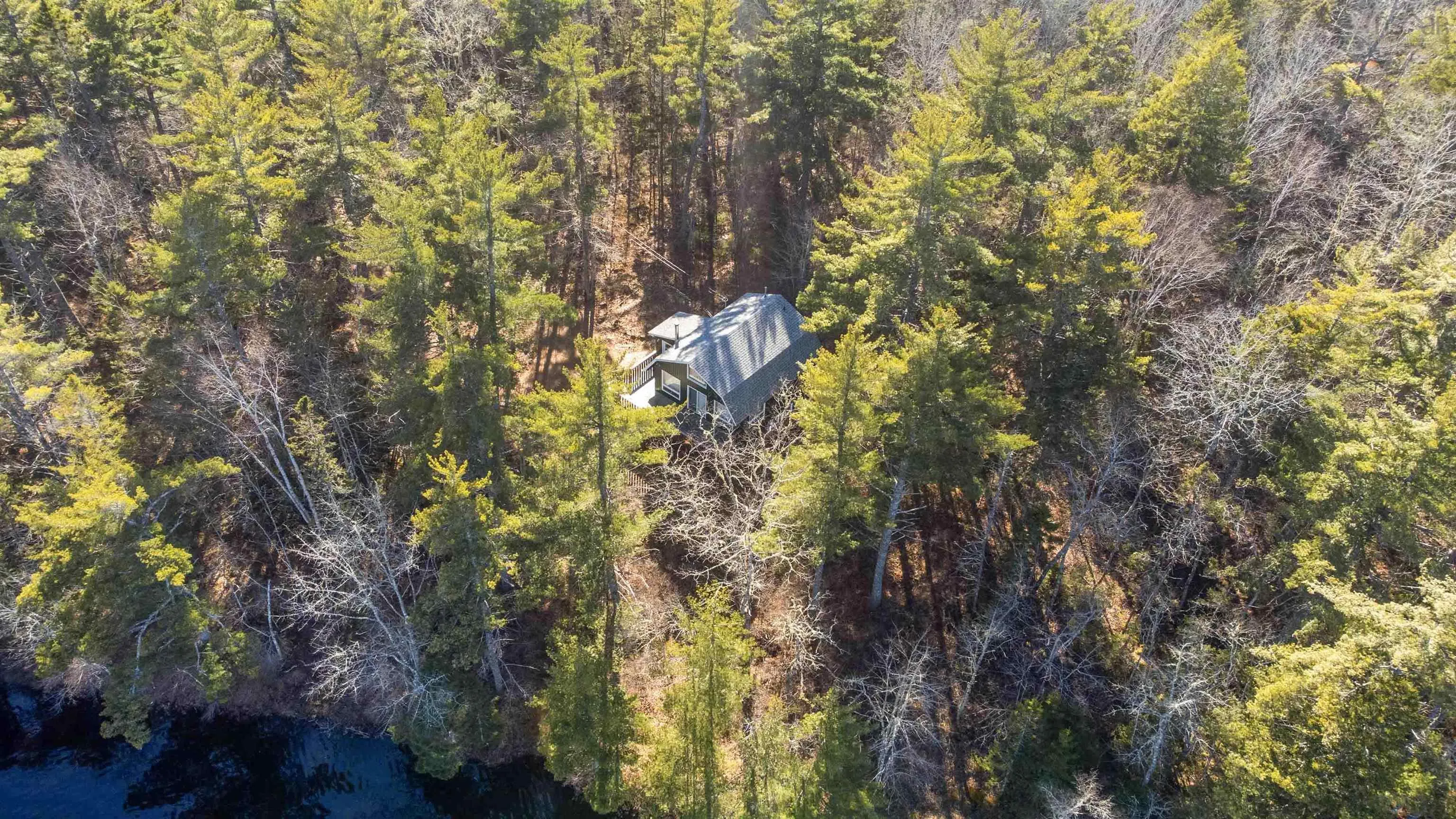 84 Lady Slipper Road, Westfield, NS B0T 1B0, 3 Bedrooms Bedrooms, ,1 BathroomBathrooms,Residential,For Sale,Lady Slipper,202515614
