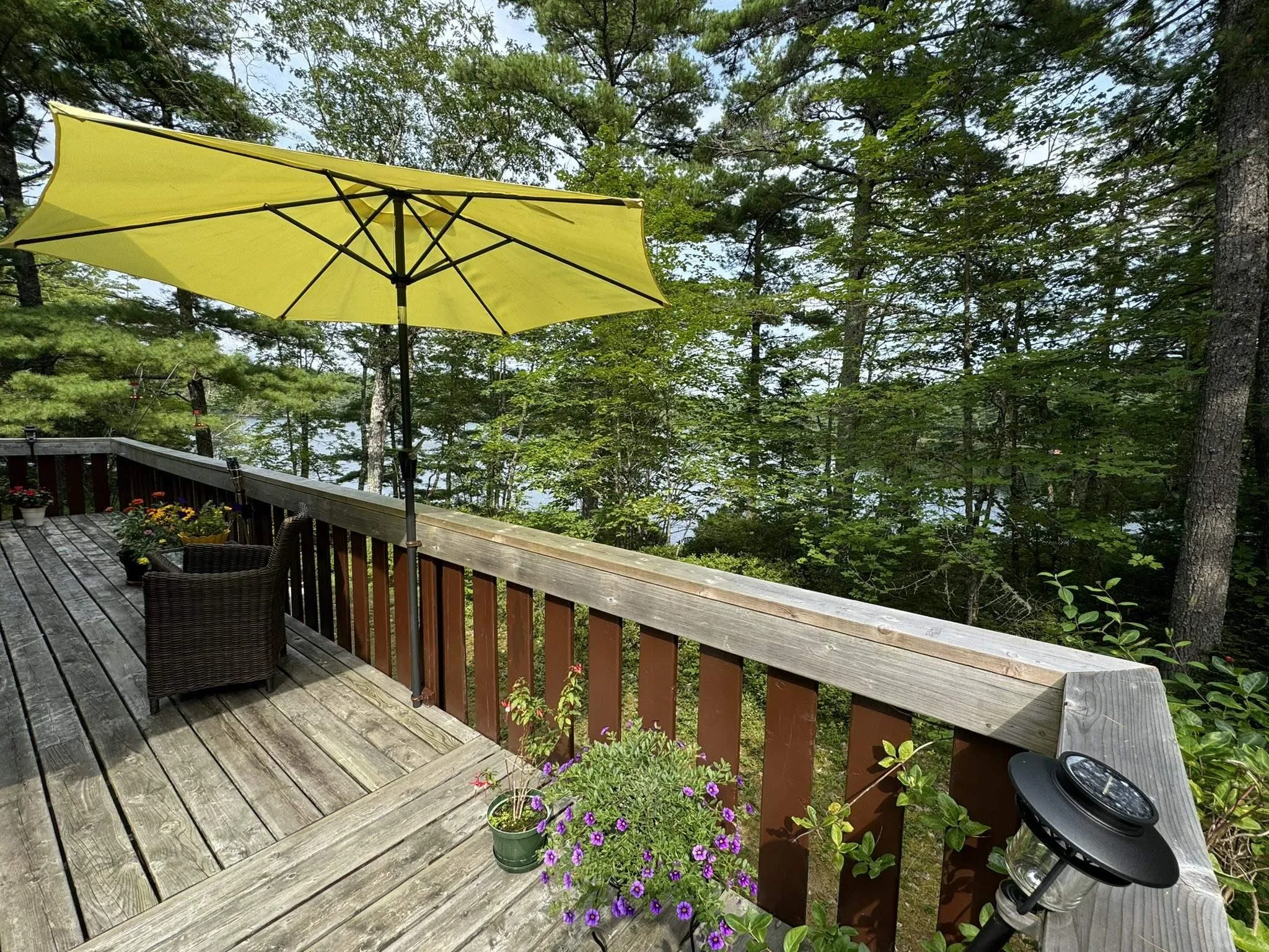 84 Lady Slipper Road, Westfield, NS B0T 1B0, 3 Bedrooms Bedrooms, ,1 BathroomBathrooms,Residential,For Sale,Lady Slipper,202515614