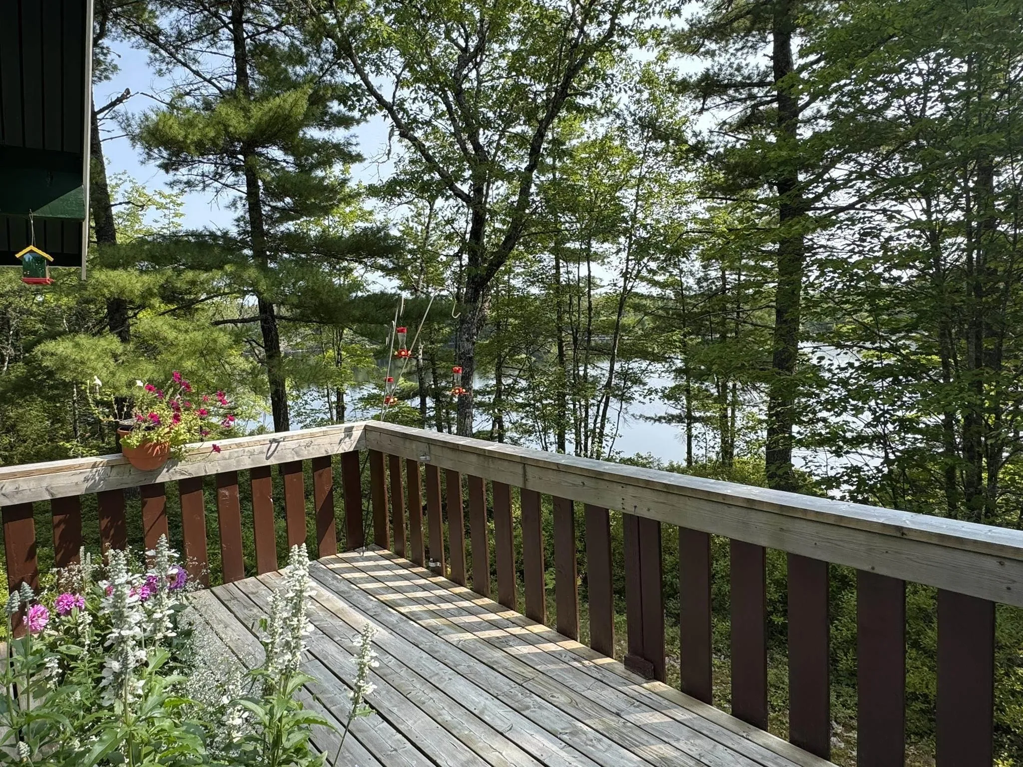 84 Lady Slipper Road, Westfield, NS B0T 1B0, 3 Bedrooms Bedrooms, ,1 BathroomBathrooms,Residential,For Sale,Lady Slipper,202515614