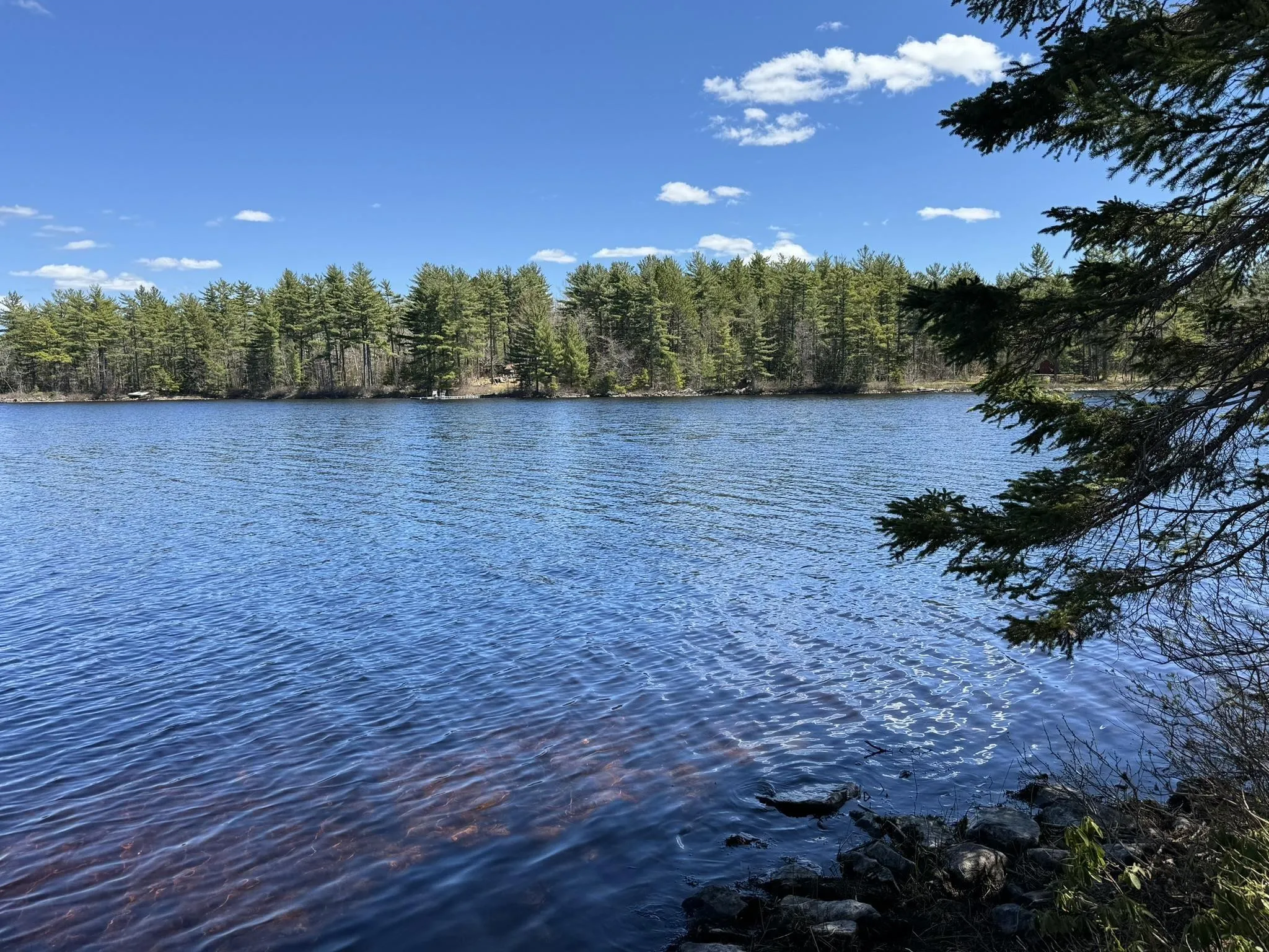 84 Lady Slipper Road, Westfield, NS B0T 1B0, 3 Bedrooms Bedrooms, ,1 BathroomBathrooms,Residential,For Sale,Lady Slipper,202515614