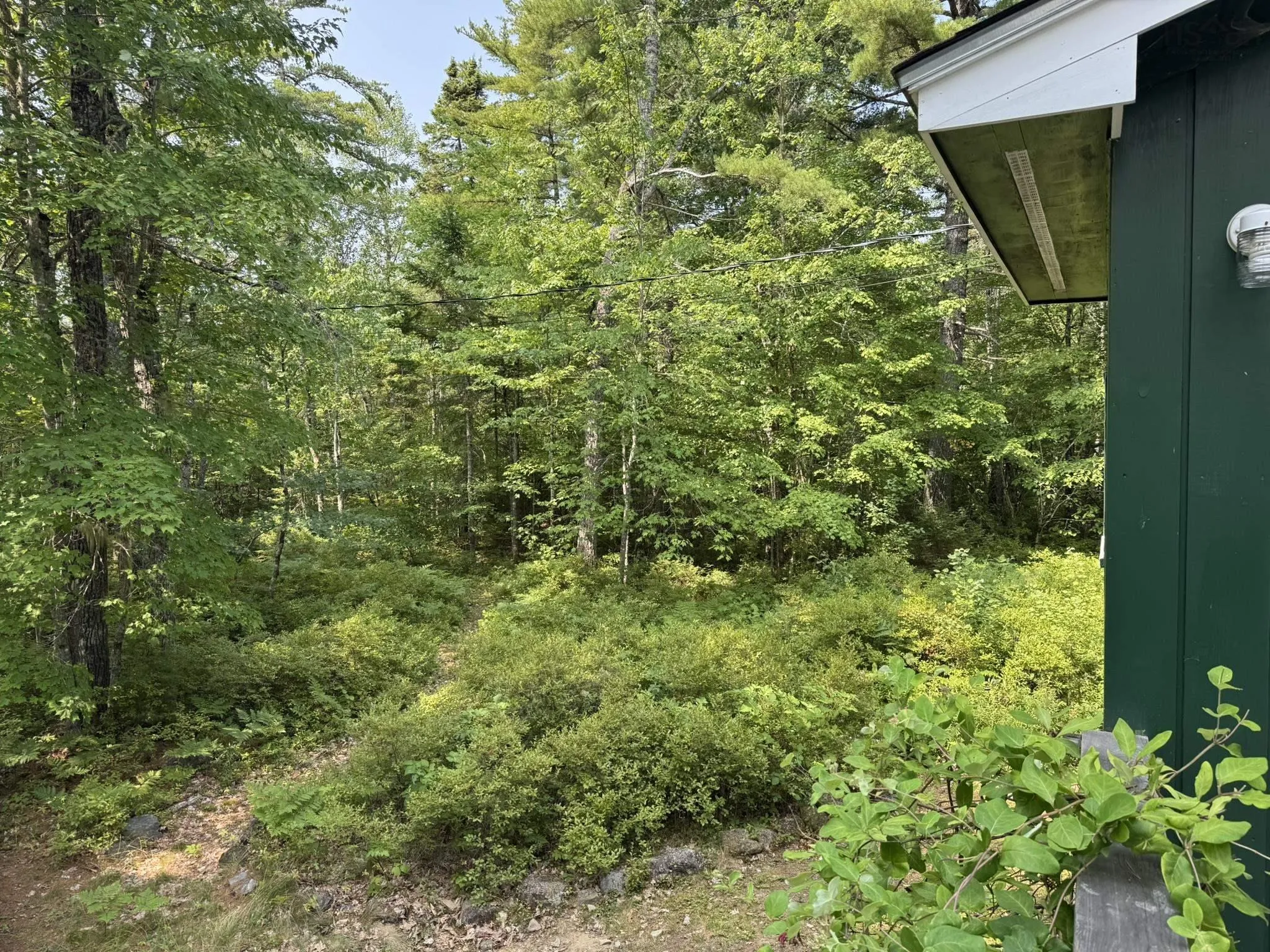 84 Lady Slipper Road, Westfield, NS B0T 1B0, 3 Bedrooms Bedrooms, ,1 BathroomBathrooms,Residential,For Sale,Lady Slipper,202515614