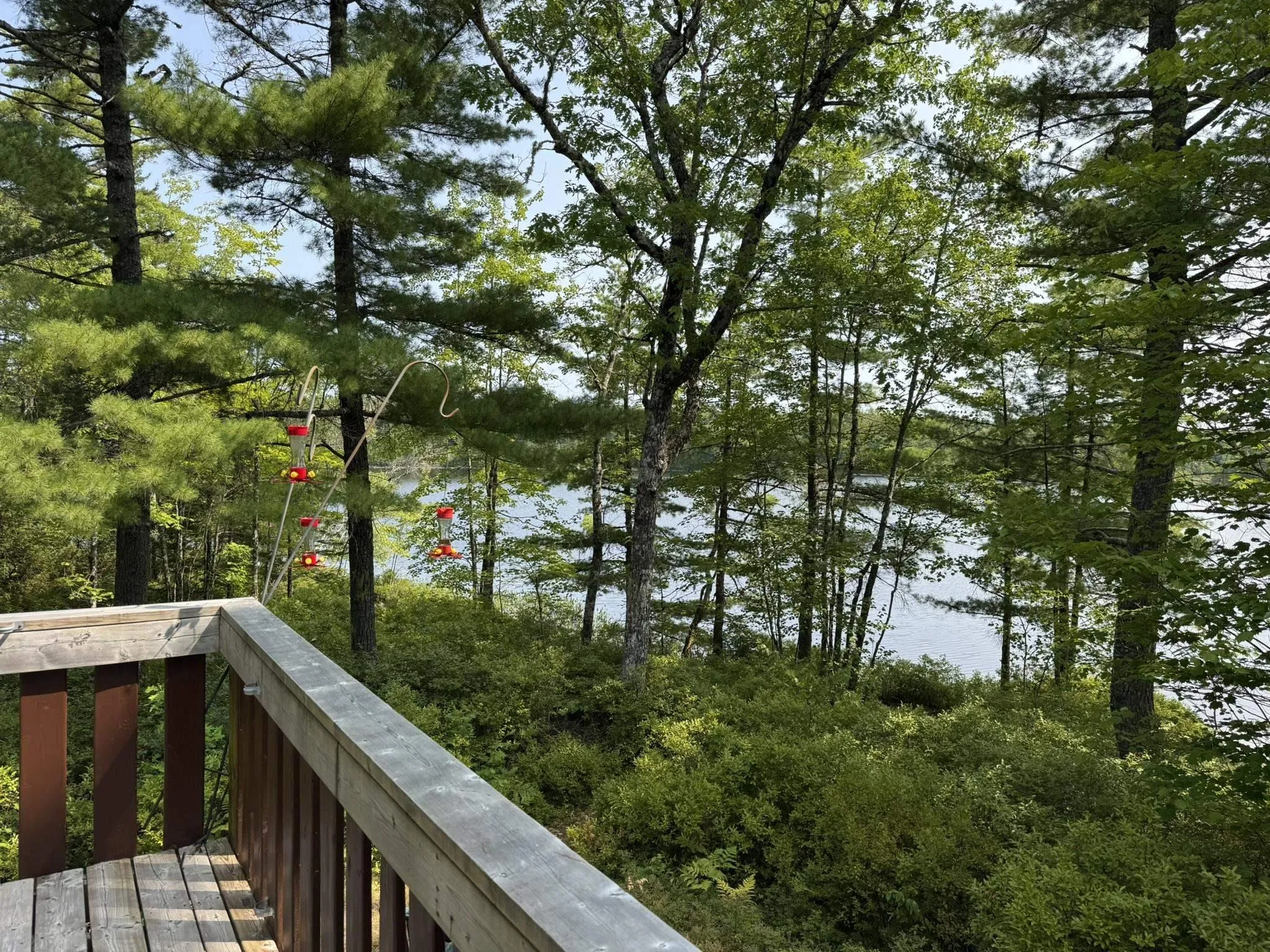 84 Lady Slipper Road, Westfield, NS B0T 1B0, 3 Bedrooms Bedrooms, ,1 BathroomBathrooms,Residential,For Sale,Lady Slipper,202515614
