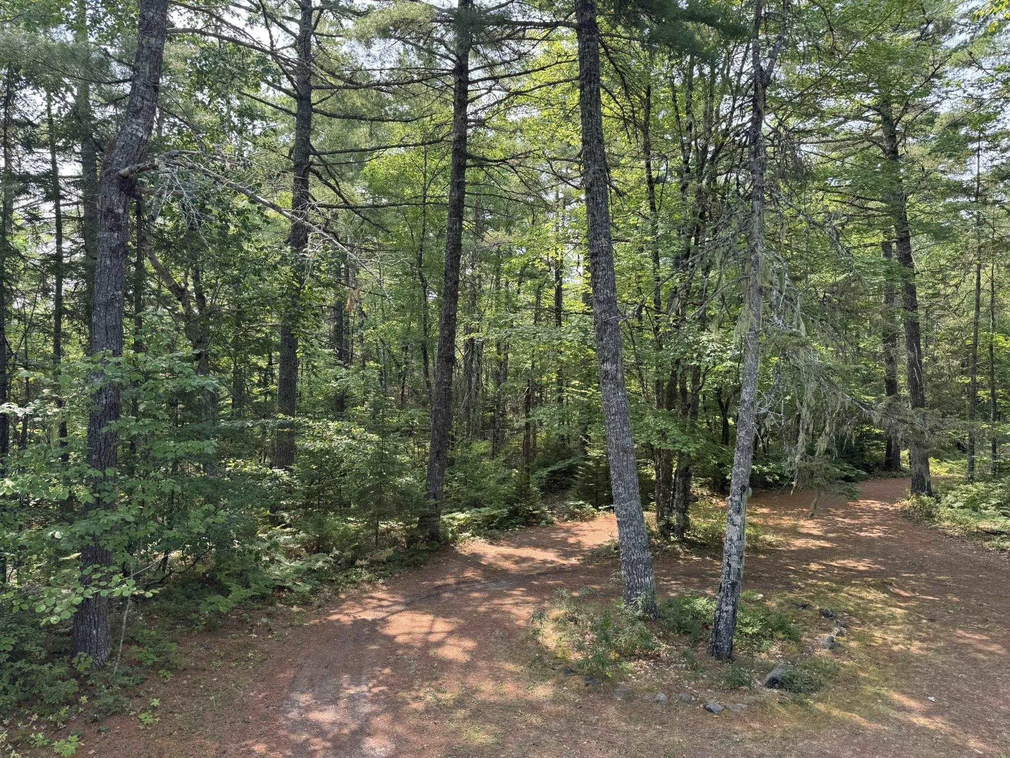 84 Lady Slipper Road, Westfield, NS B0T 1B0, 3 Bedrooms Bedrooms, ,1 BathroomBathrooms,Residential,For Sale,Lady Slipper,202515614