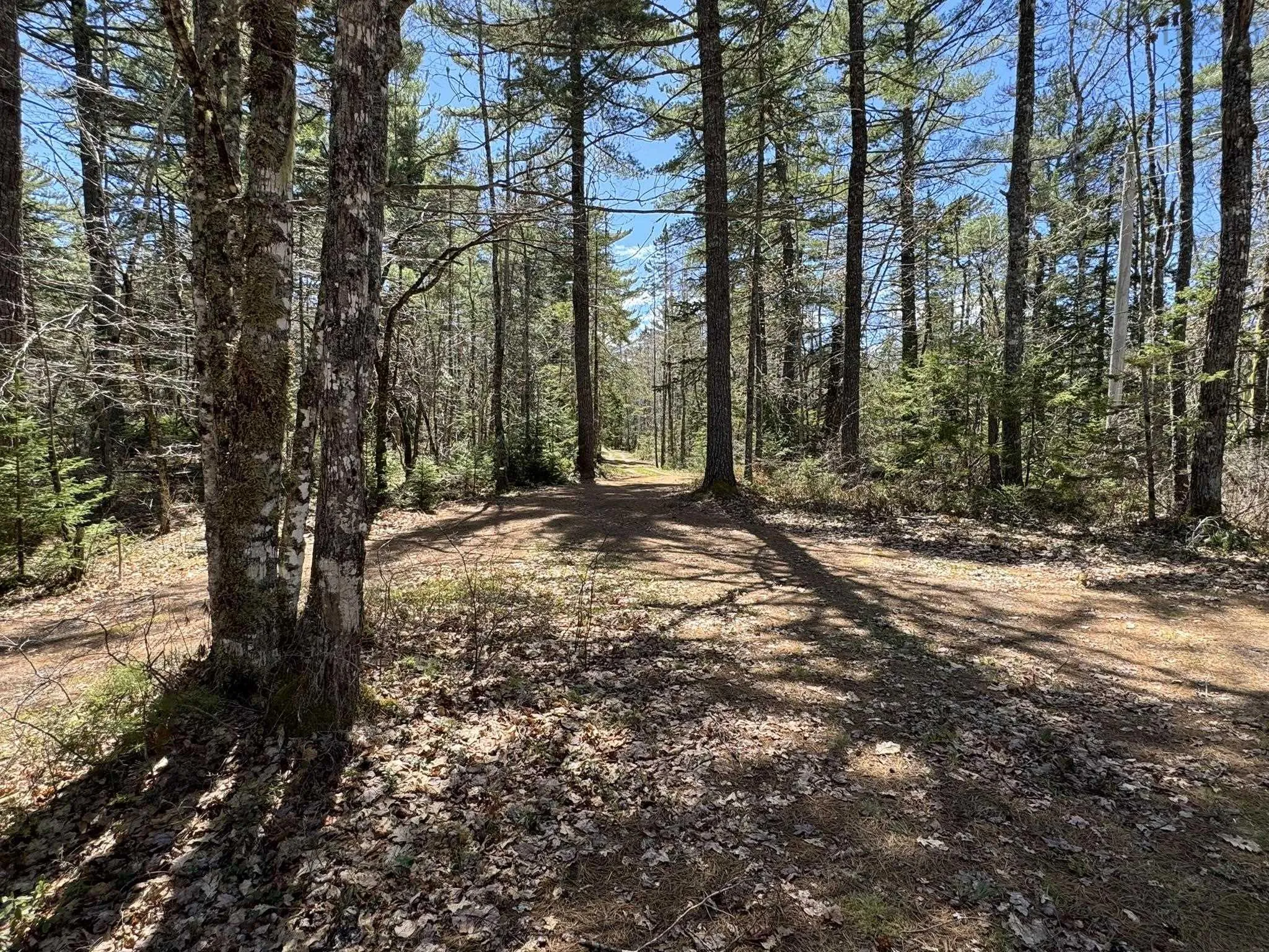 84 Lady Slipper Road, Westfield, NS B0T 1B0, 3 Bedrooms Bedrooms, ,1 BathroomBathrooms,Residential,For Sale,Lady Slipper,202515614