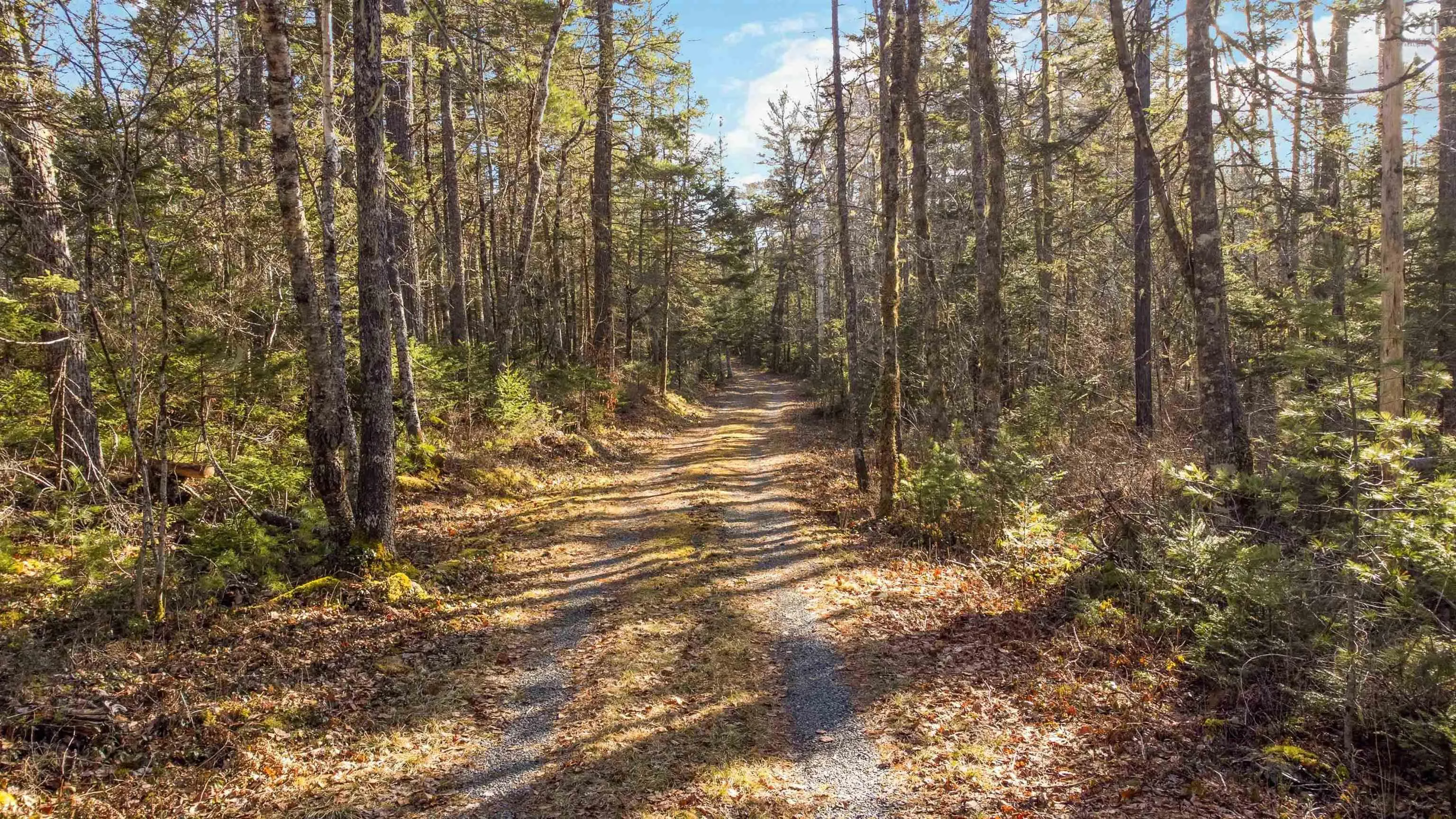 84 Lady Slipper Road, Westfield, NS B0T 1B0, 3 Bedrooms Bedrooms, ,1 BathroomBathrooms,Residential,For Sale,Lady Slipper,202515614