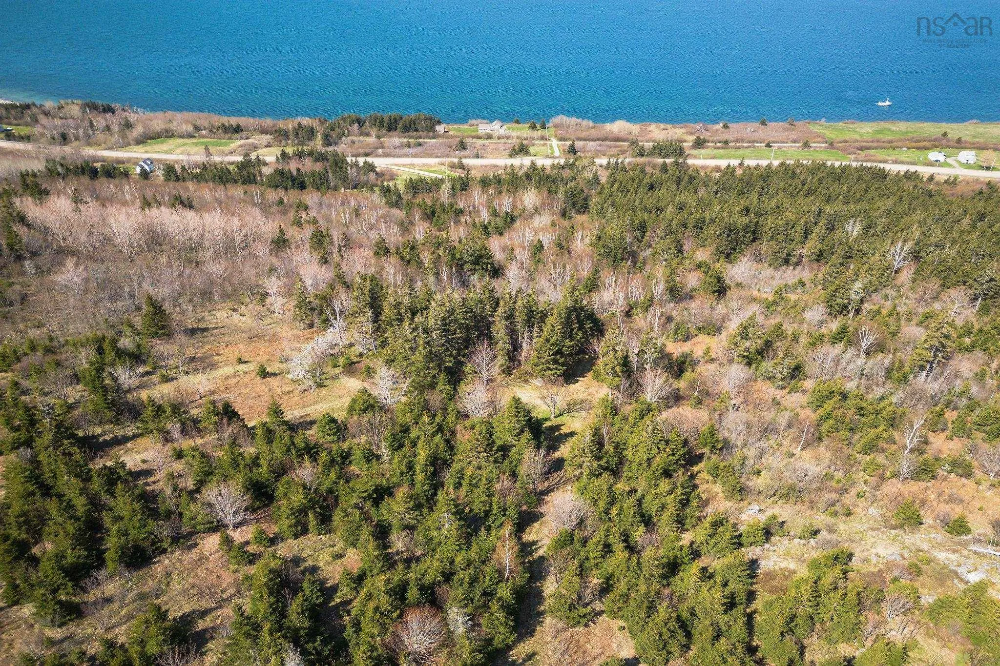 Highway 19, Creignish Ns B9a 1a8, ,Land,For Sale,Highway 19,202411781