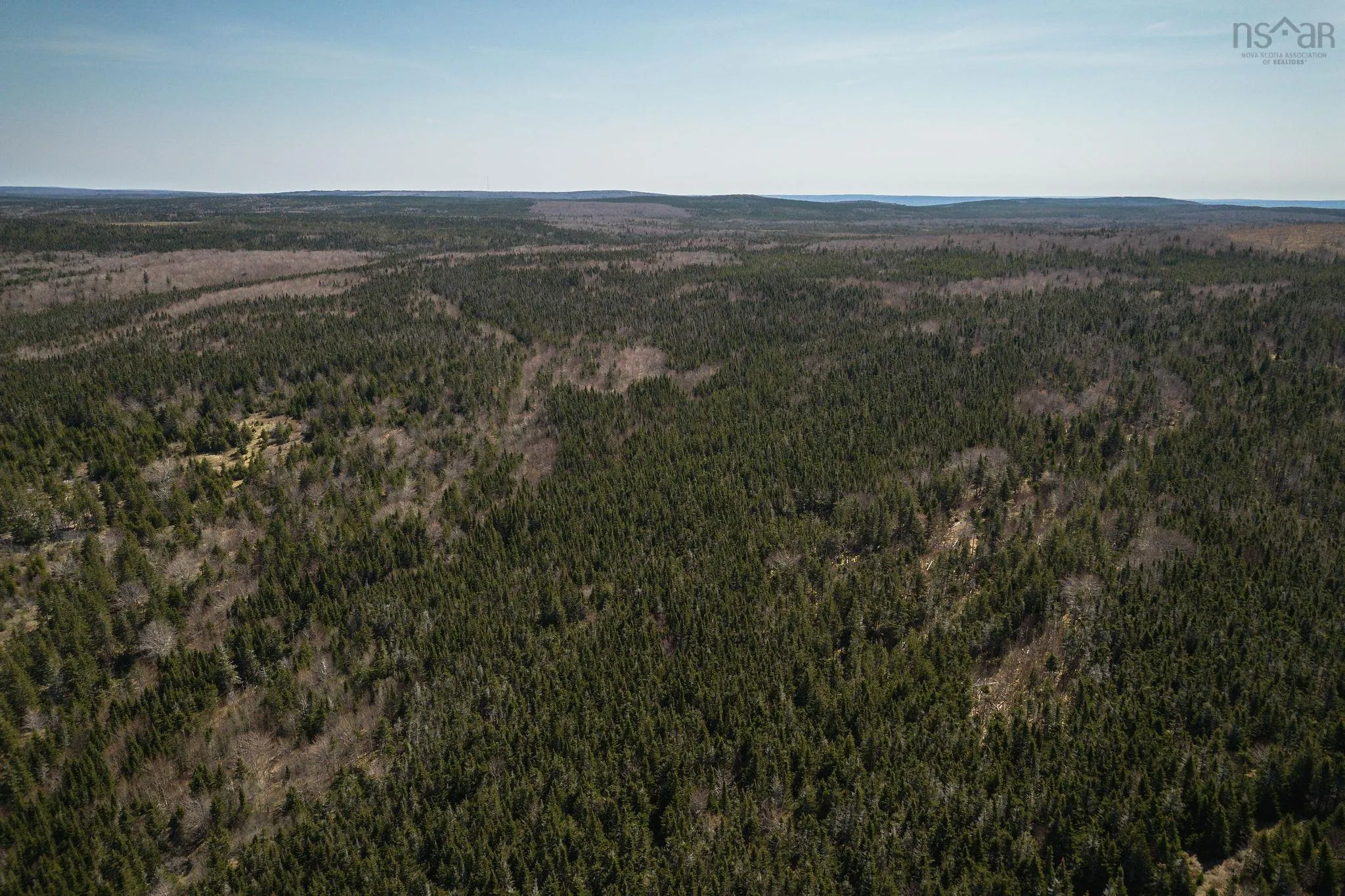 Highway 19, Creignish Ns B9a 1a8, ,Land,For Sale,Highway 19,202411781