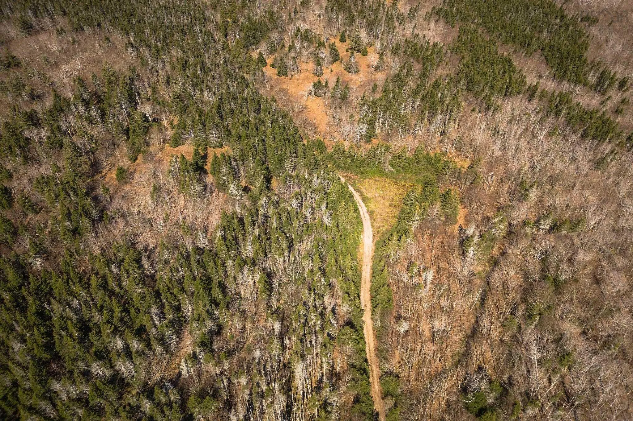 Highway 19, Creignish Ns B9a 1a8, ,Land,For Sale,Highway 19,202411781